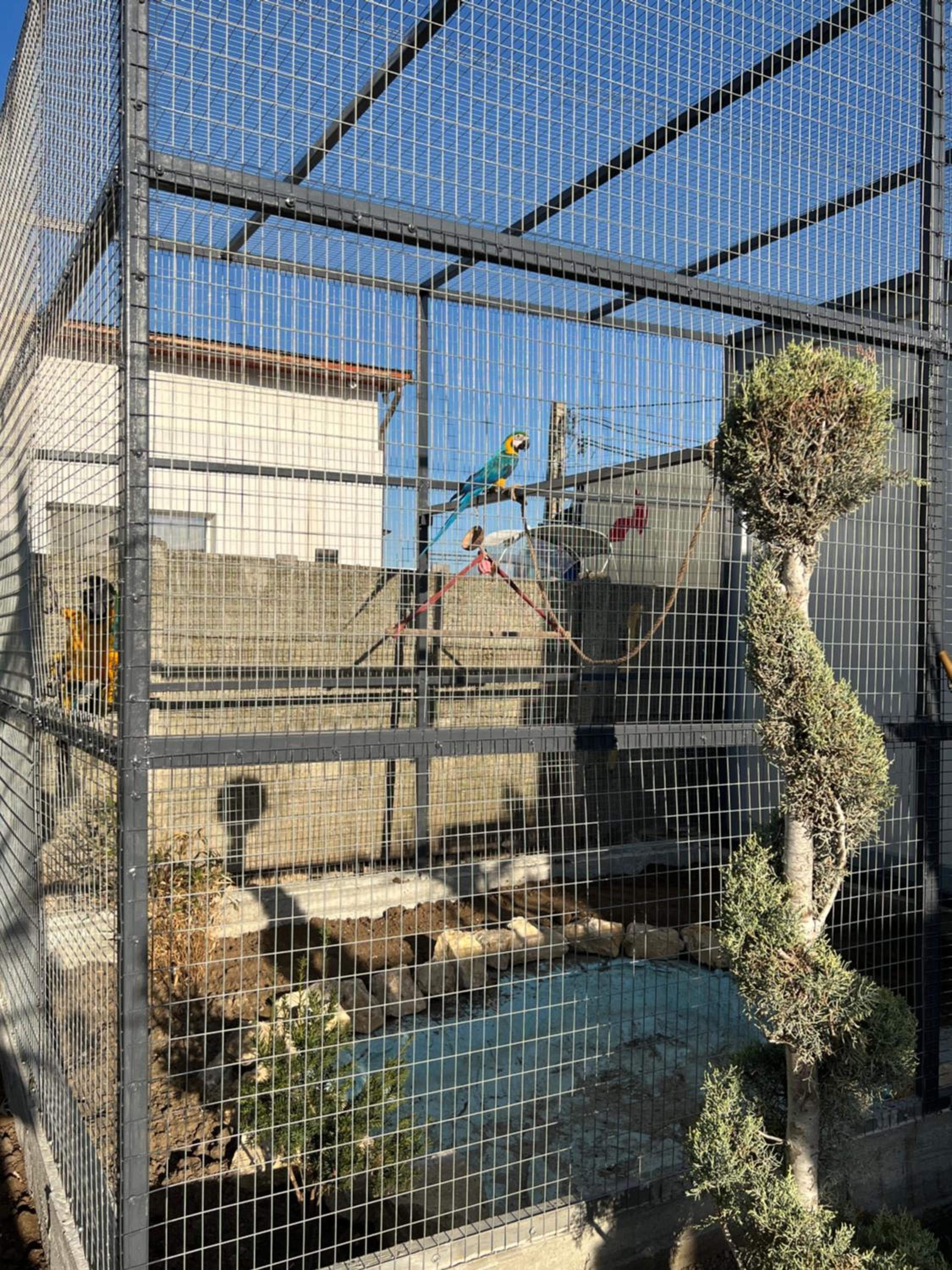 Photo 47