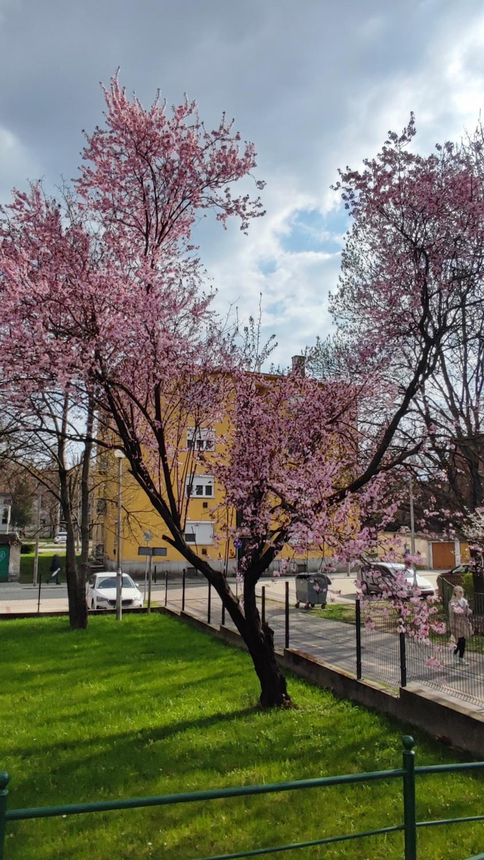 Fehérvár Cappuccino apartman City center, AC, Easy Parking