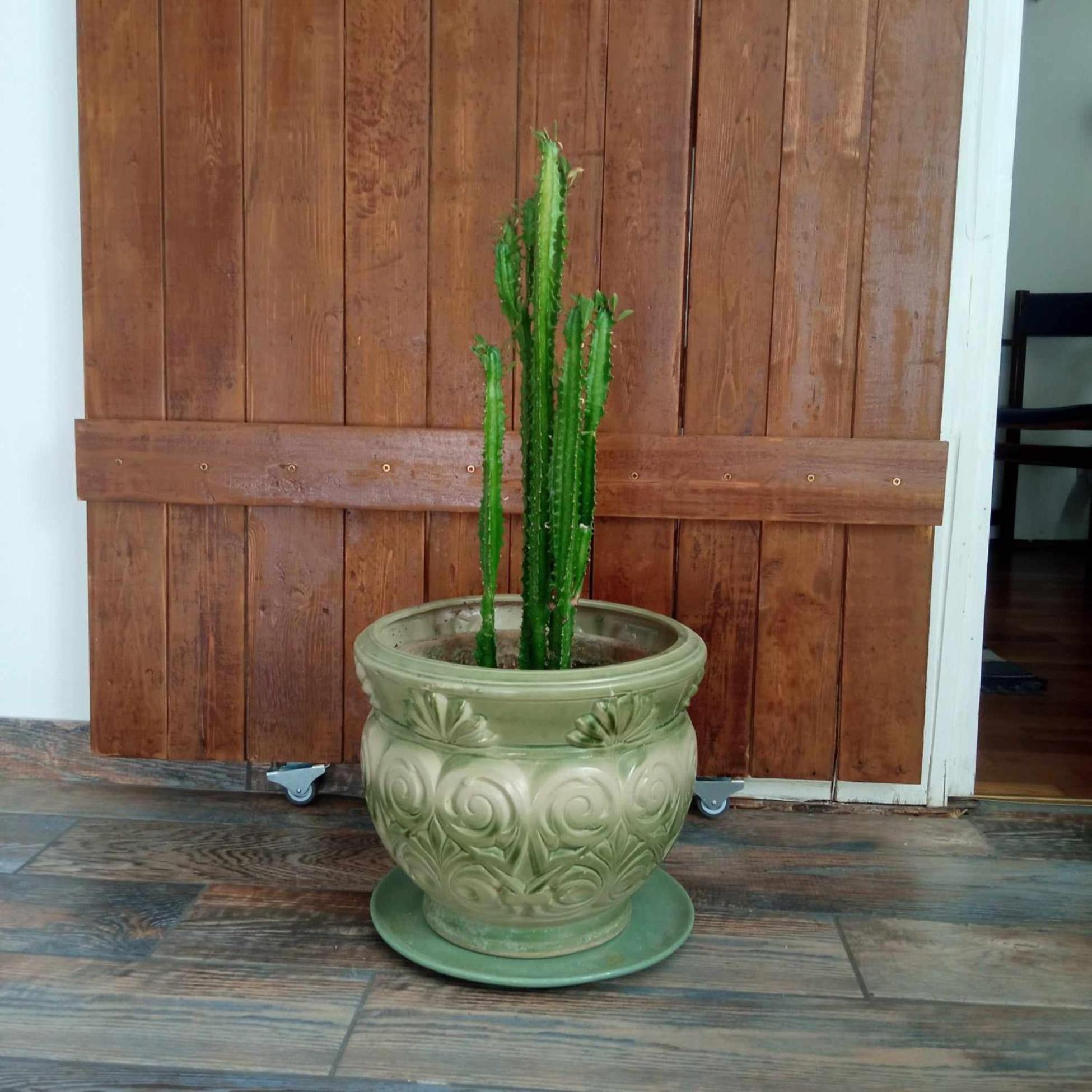 Photo 41