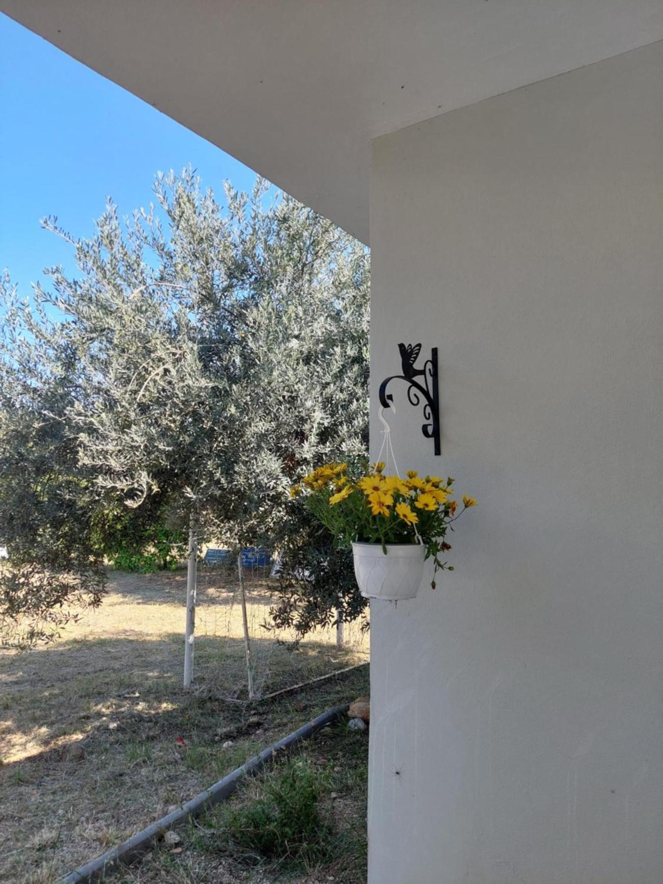 Photo 31