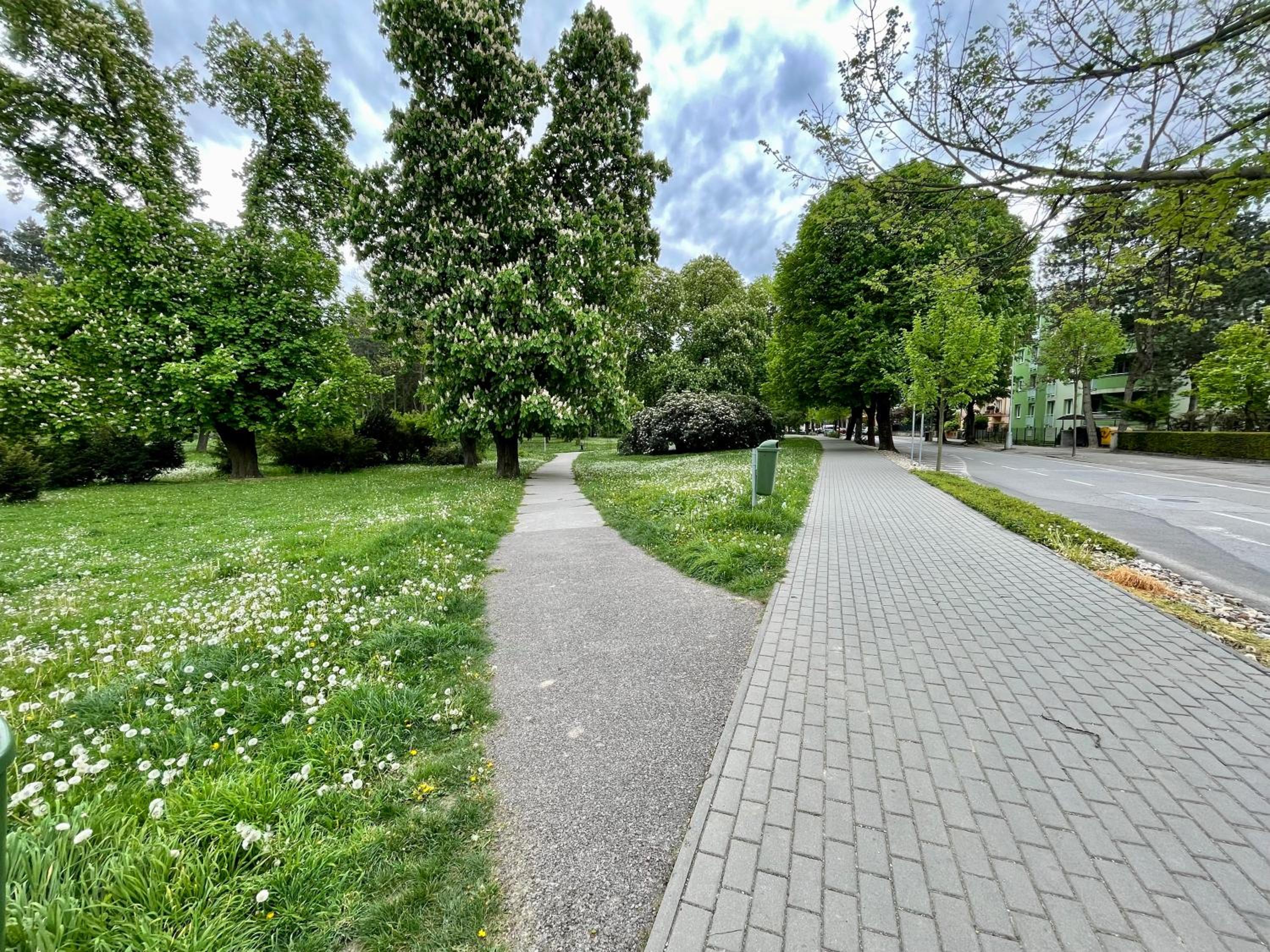 Photo 38