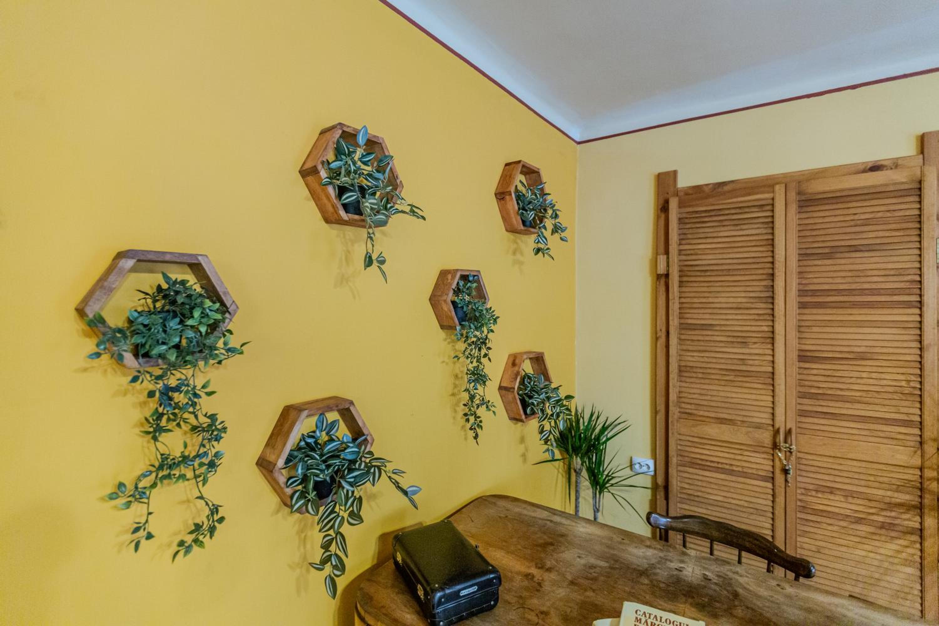 TREE House-Old Town Brașov