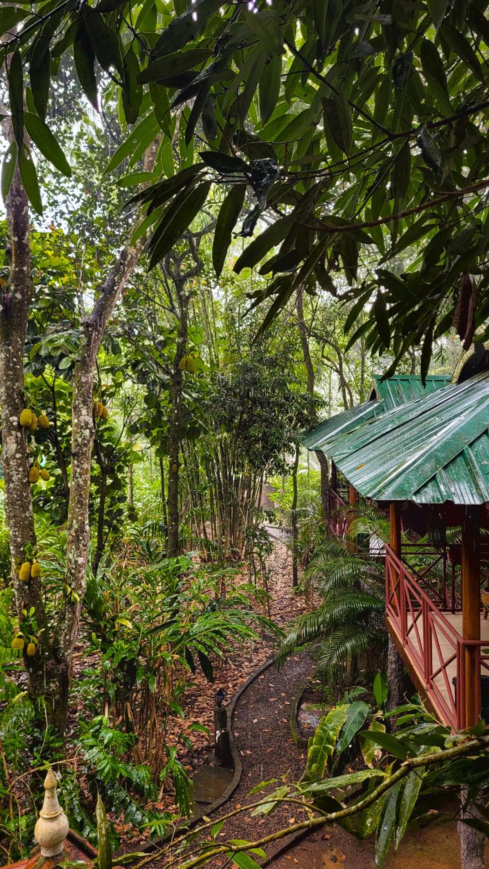 Monsoon Retreats Ecostay- Treehouse