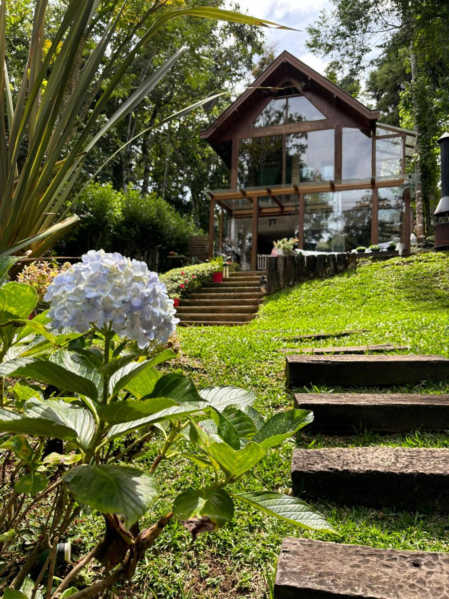 .Cabana Camaleão