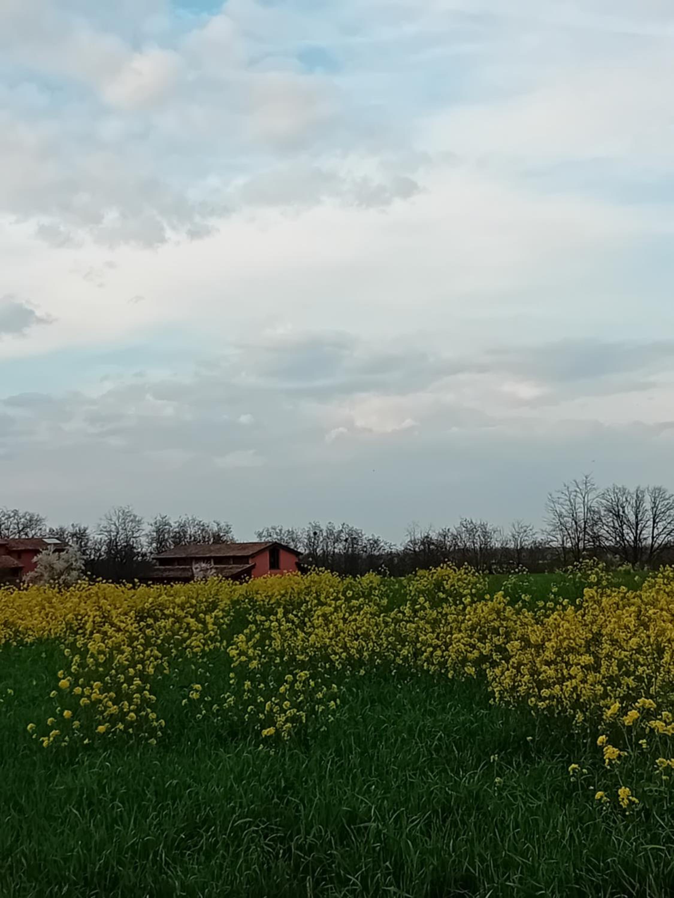 B&BLe Tre Gemme view 5
