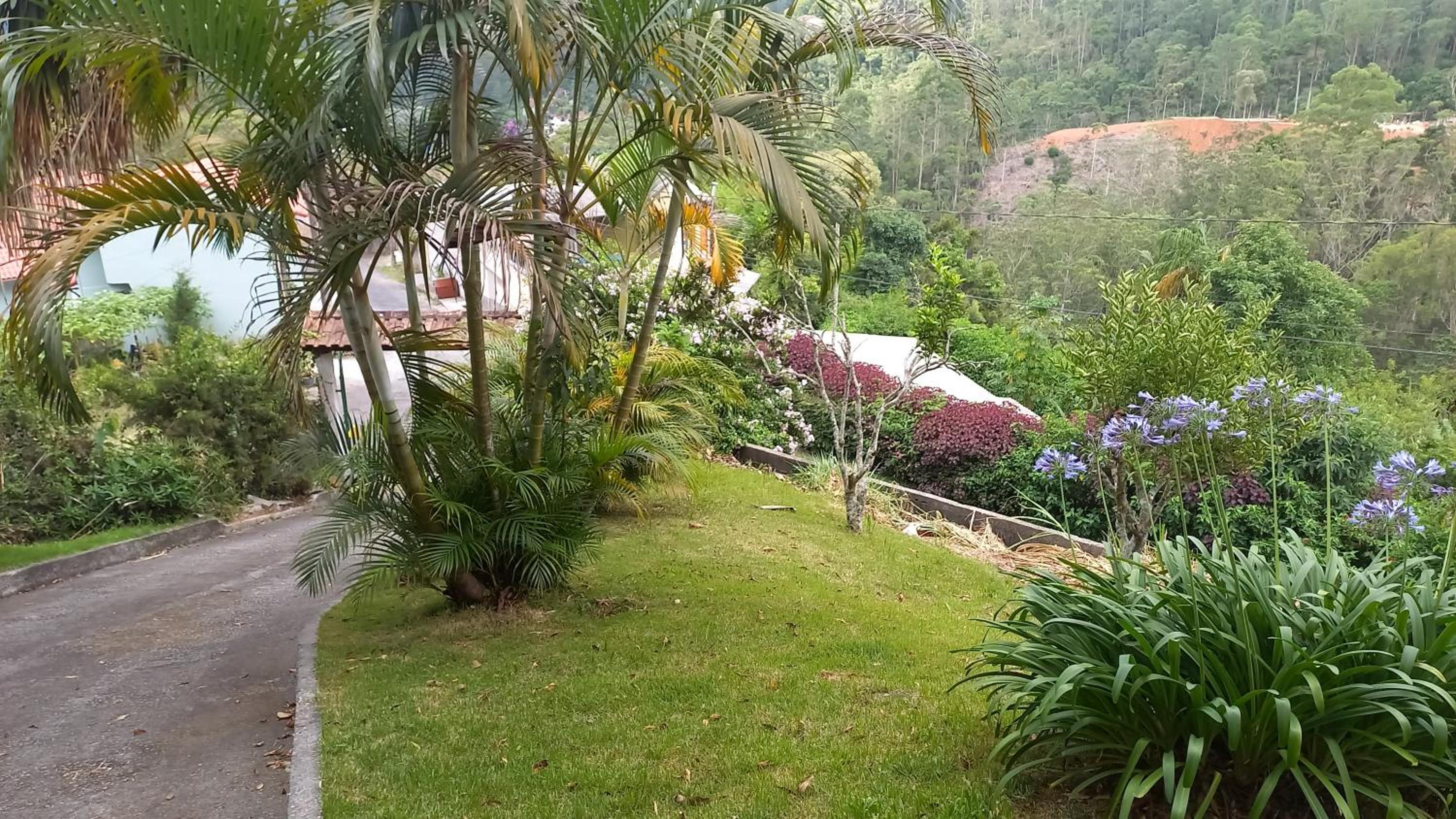 SÍTIO ALTO DA COLINA