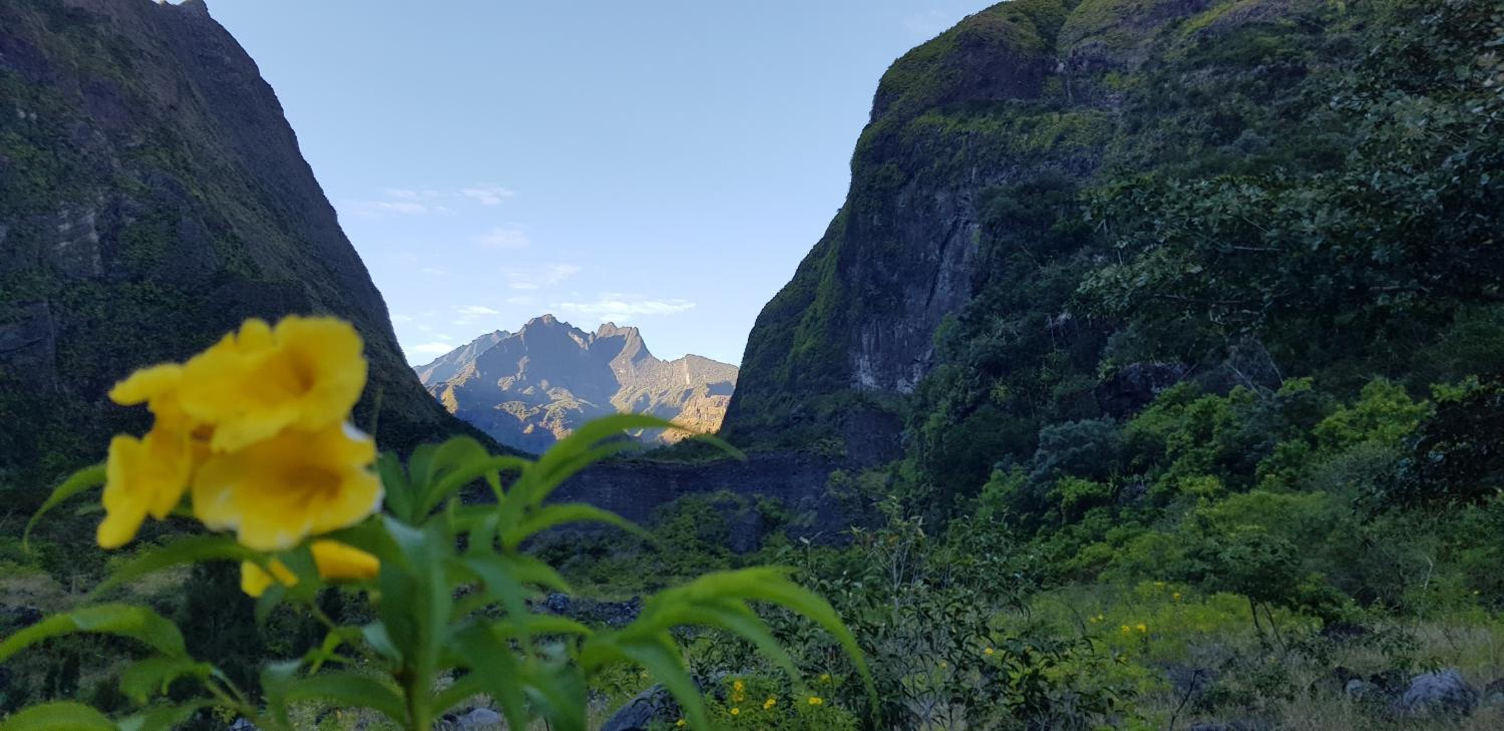 Location Alpinia