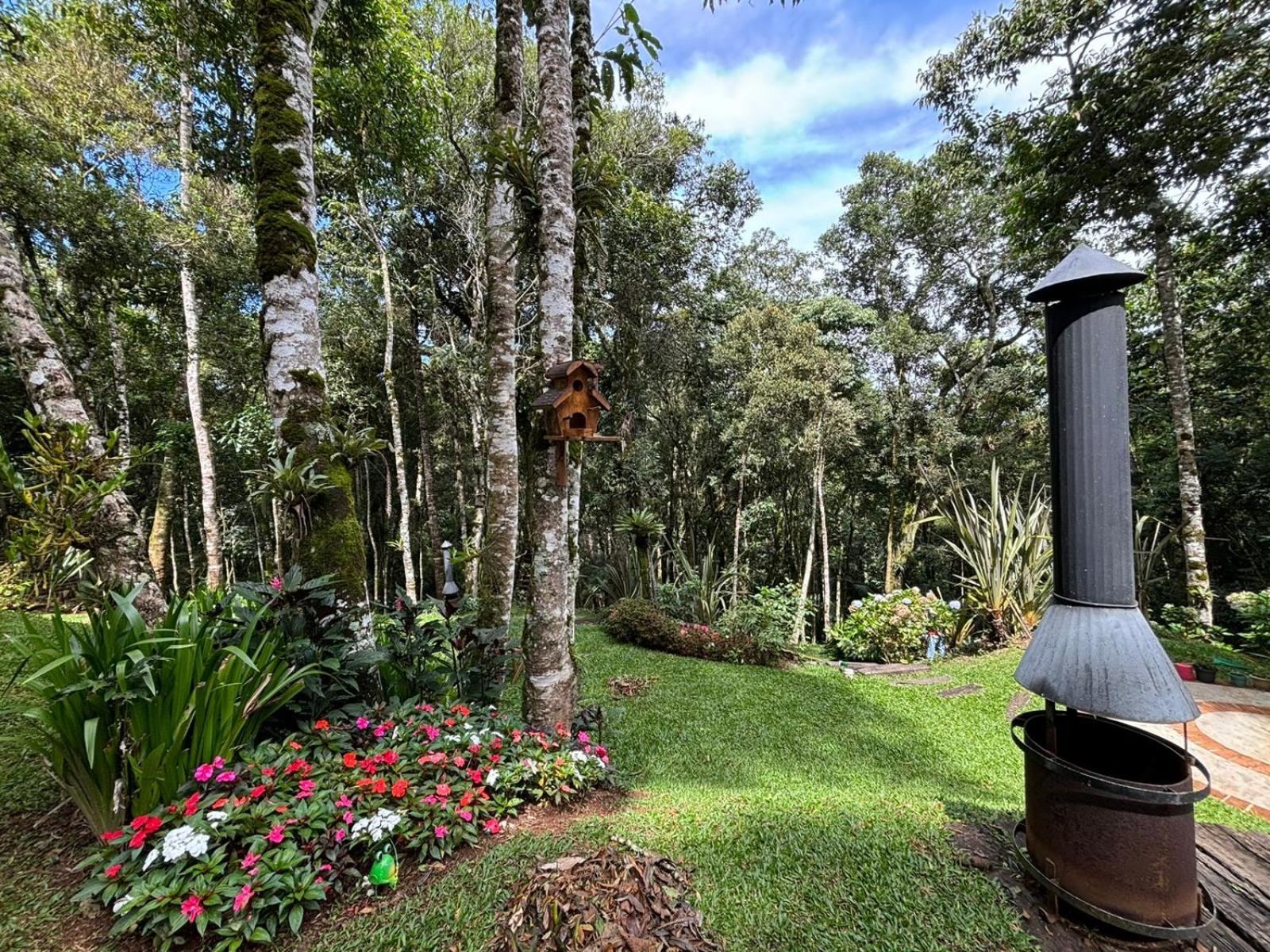 .Cabana Camaleão