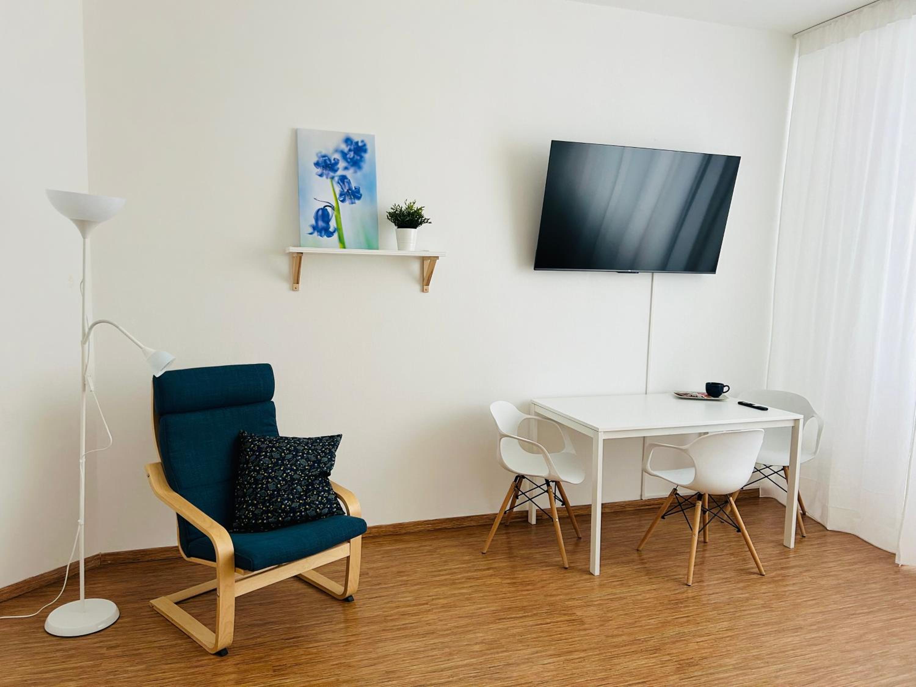 Studio Apartment Bluebell view 2