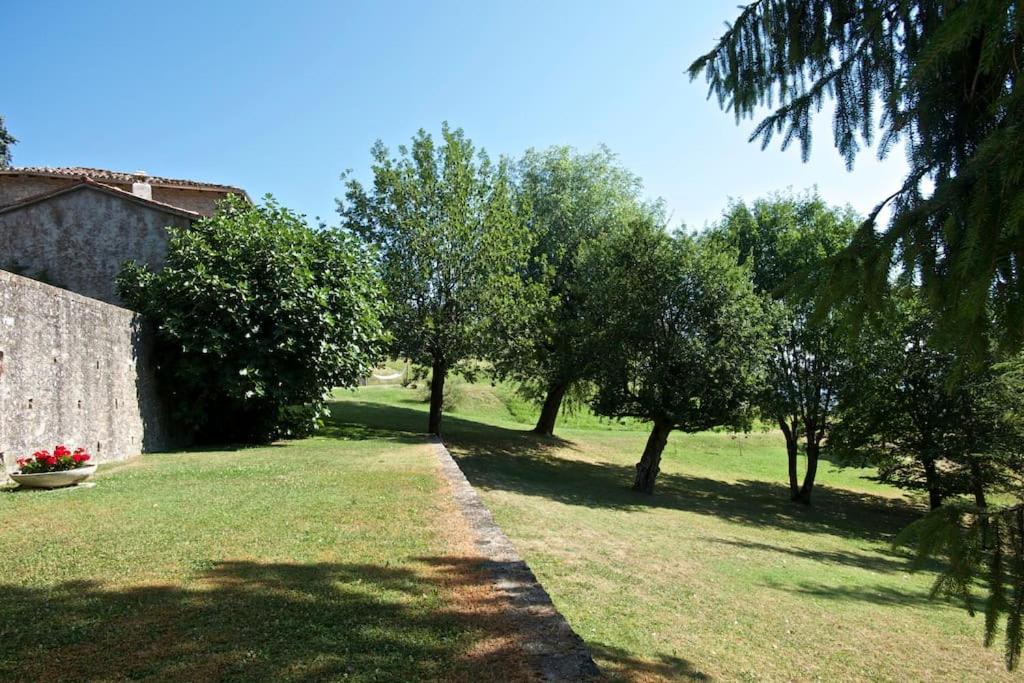 Photo 37