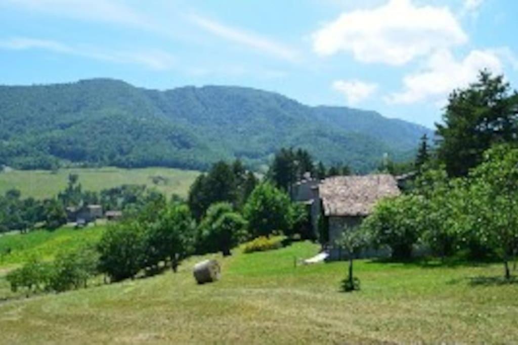 Photo 38