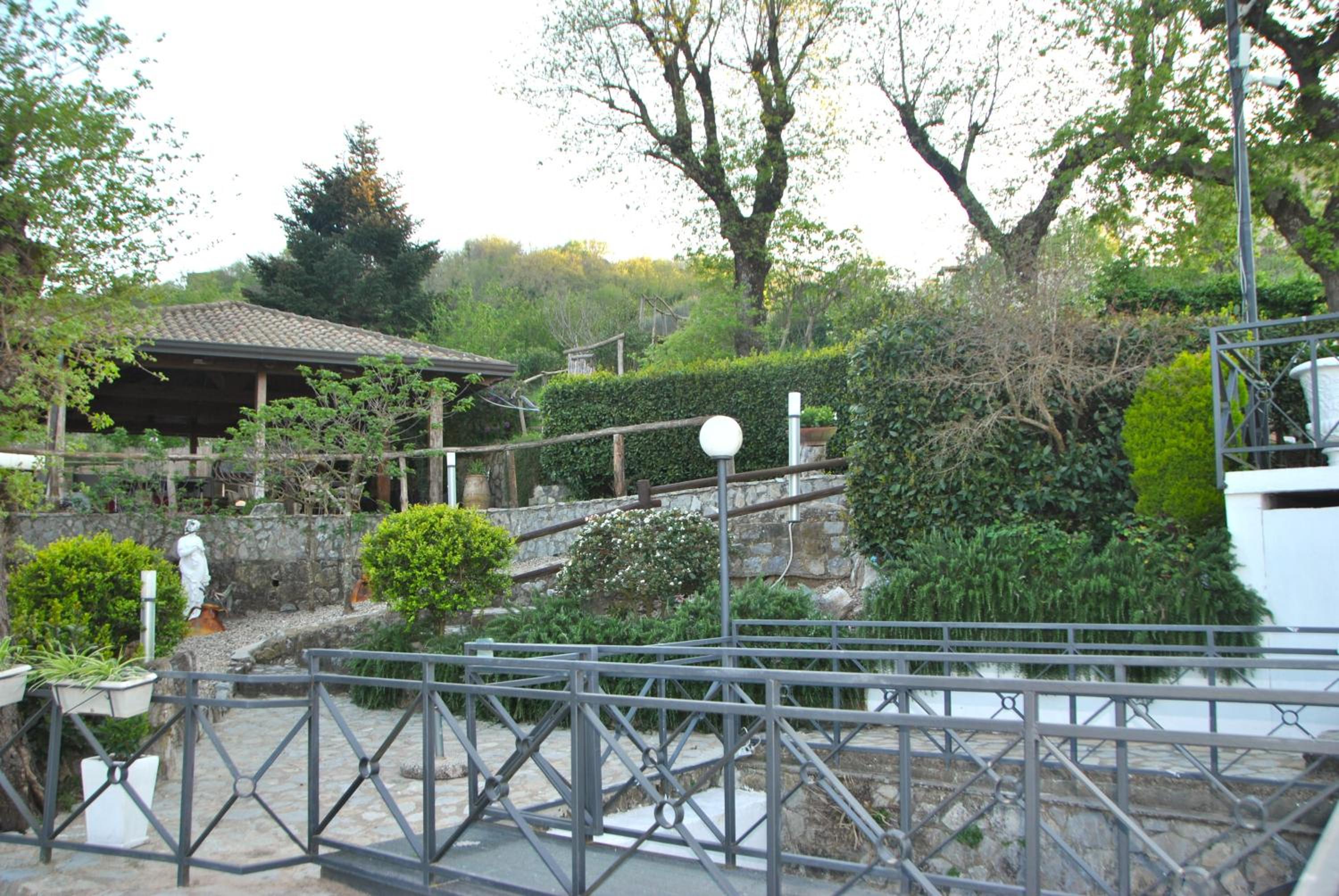 Photo 45