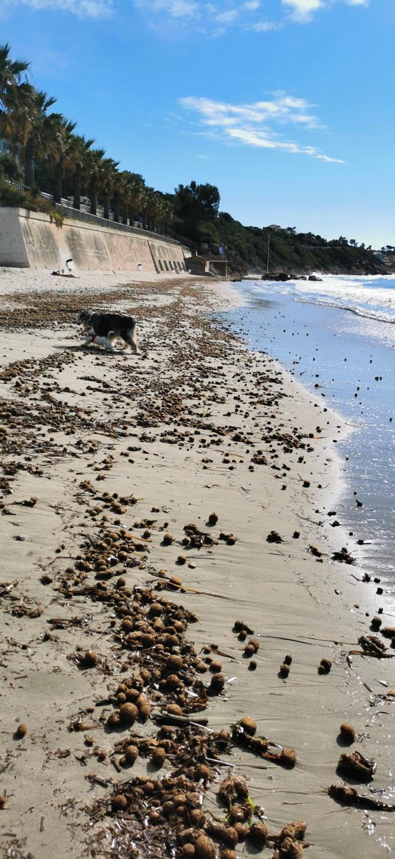 BELAZUR Entre plage et port