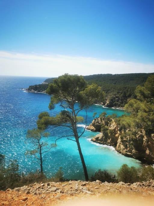 BELAZUR Entre plage et port