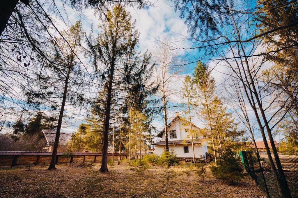 NorthSpot Cabin