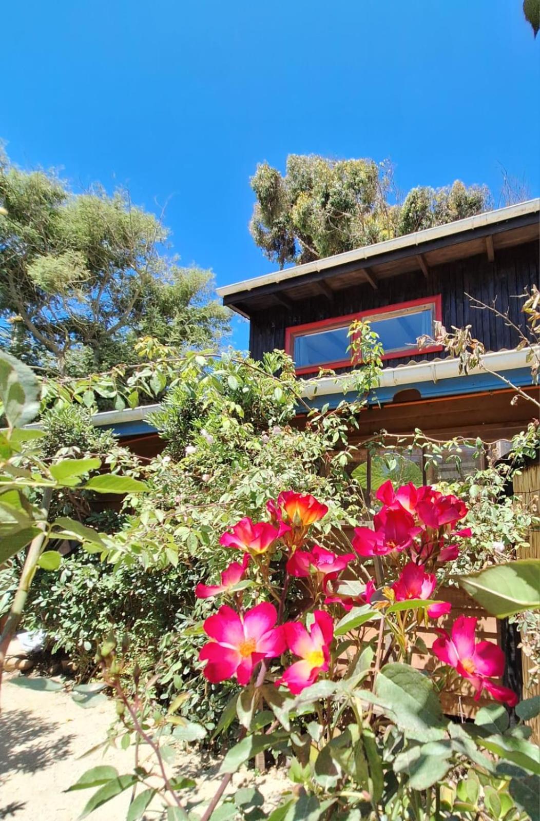 Casas Alma