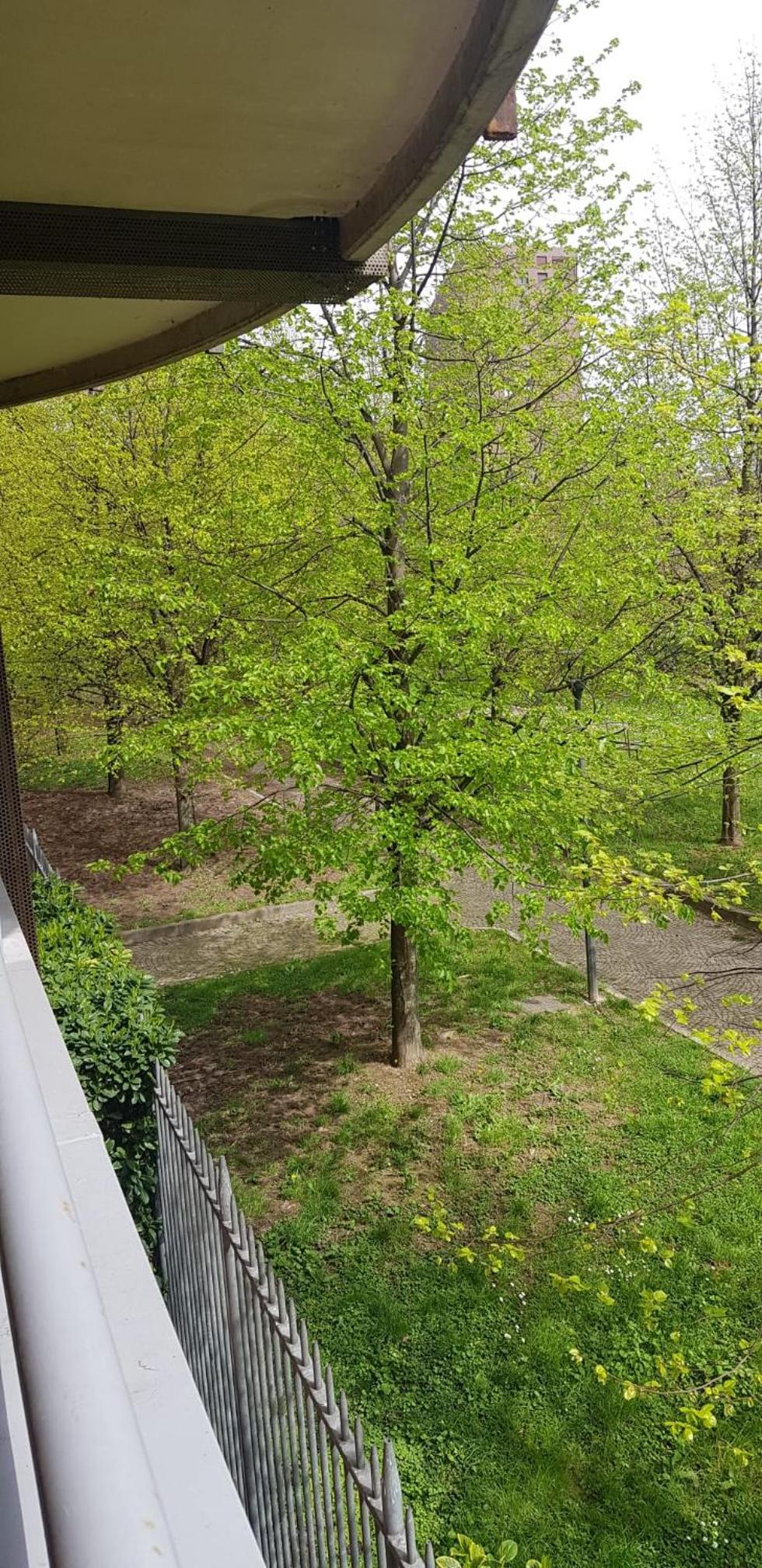 LA CASA SUL PARCO