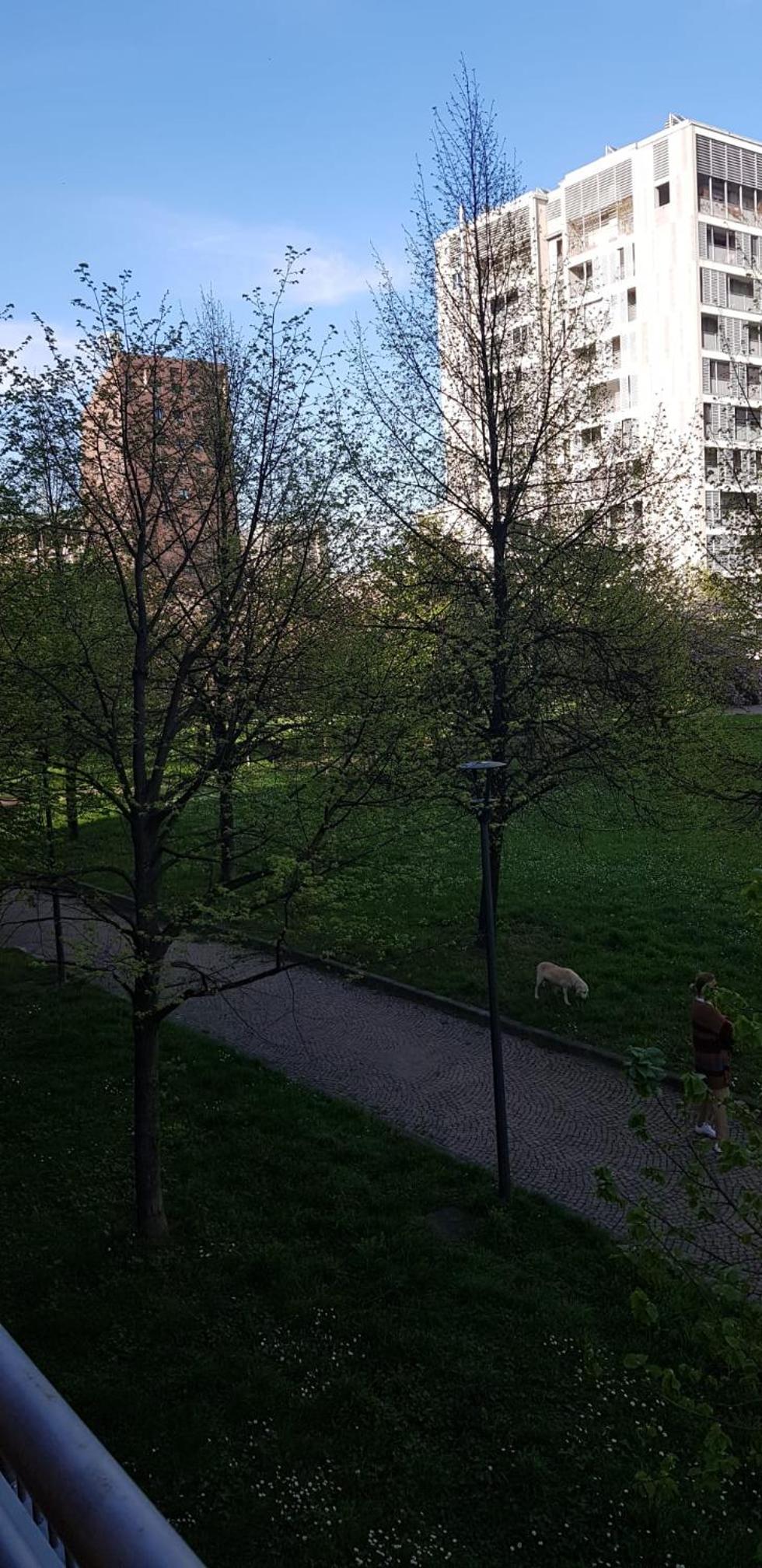 LA CASA SUL PARCO
