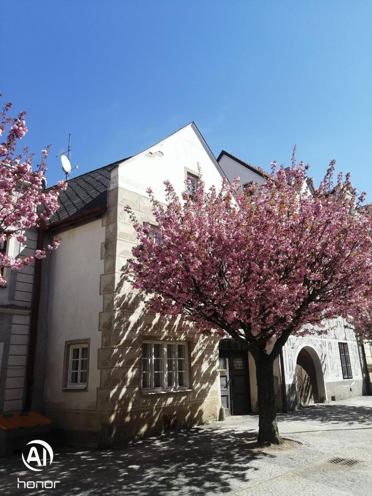 Slavonice - Čapí dům