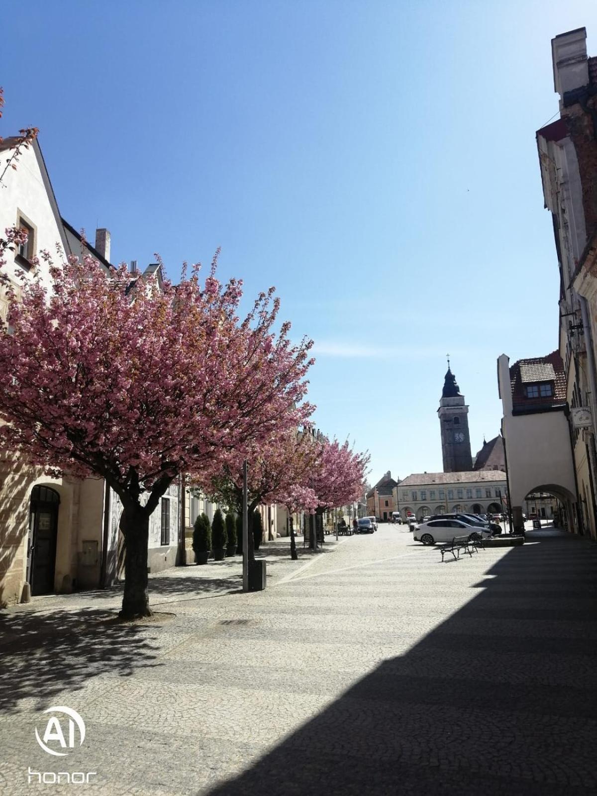 Slavonice - Čapí dům