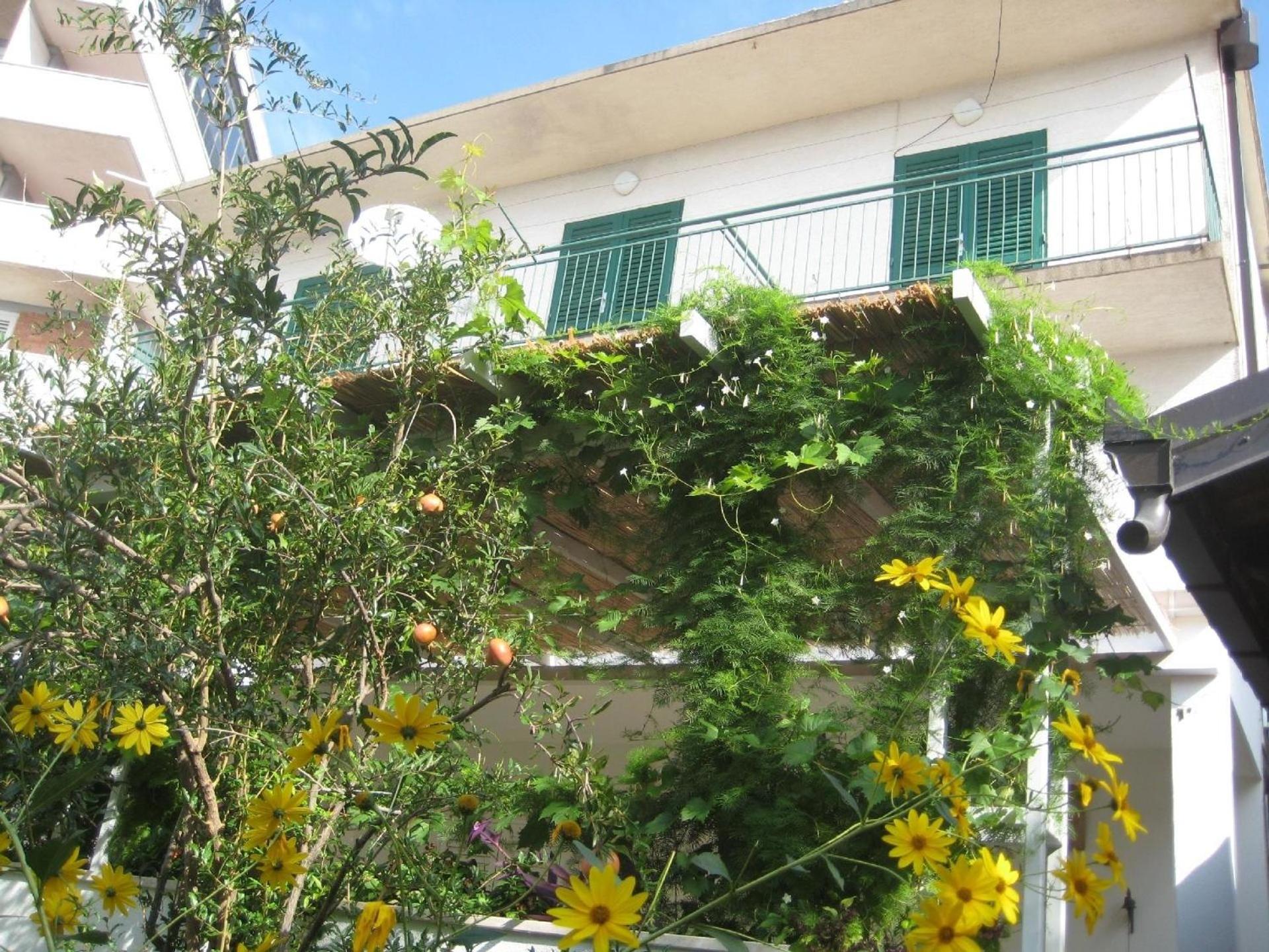 Apartman Sulic view 2