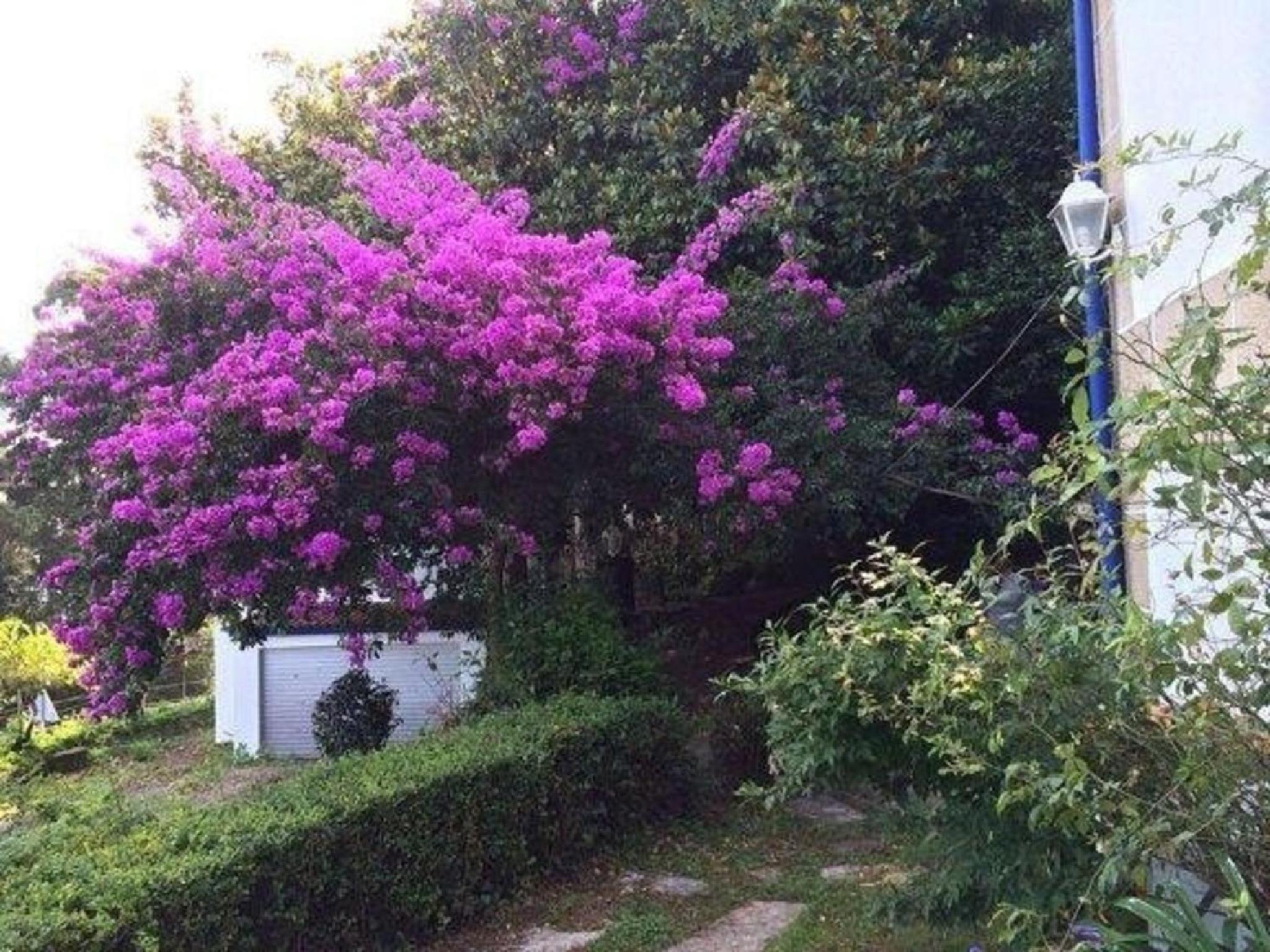 Ferienhaus für 12 Personen und 2 Kinder in Redondela, Costa Verde Spanien Rías Baixas view 5
