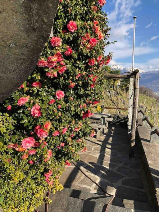 Casa Margherita