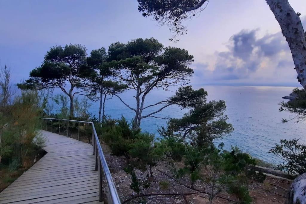 Edelweiss Cala Crancs
