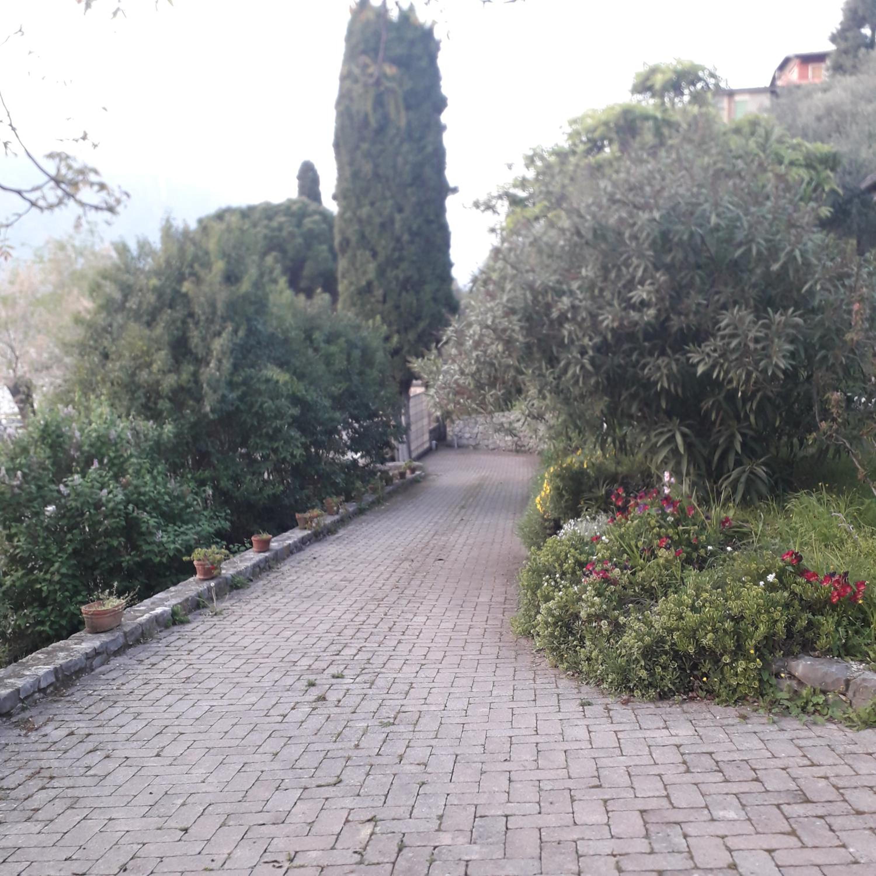 Photo 51