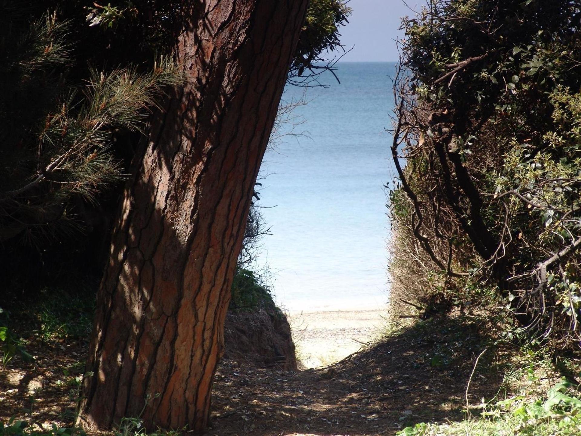 Schönes Ferienhaus in Capiglia Marittimma