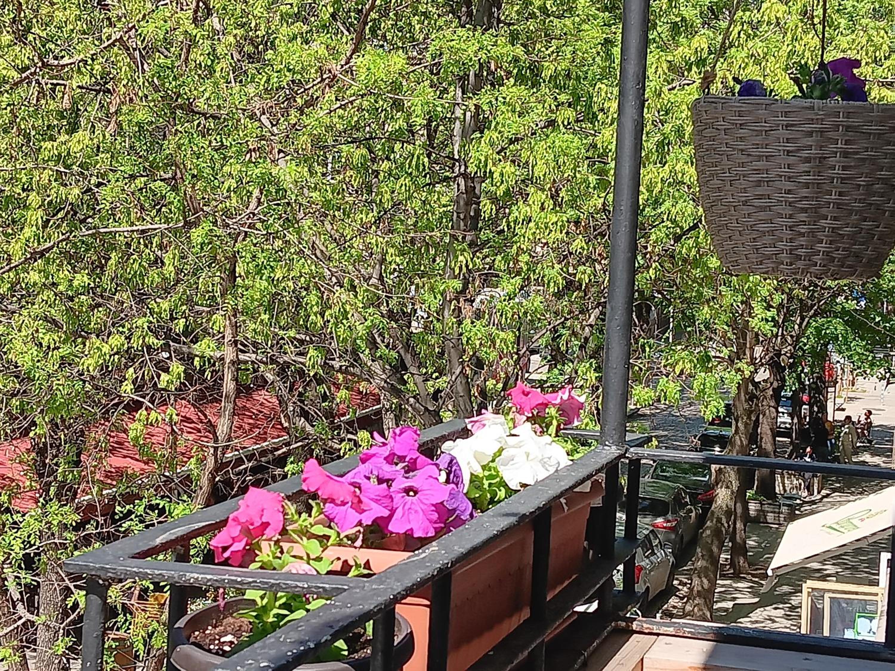 Bijoux Apt in the heart of Sofia