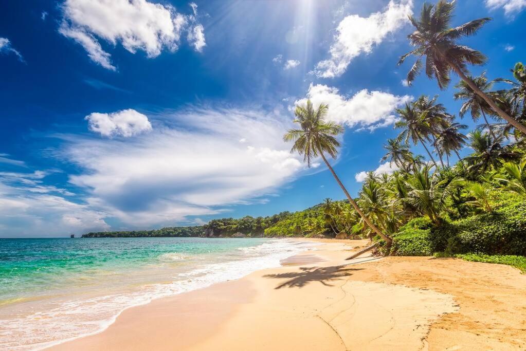 Beach House Bloom - Cabarete Luxury Rentals