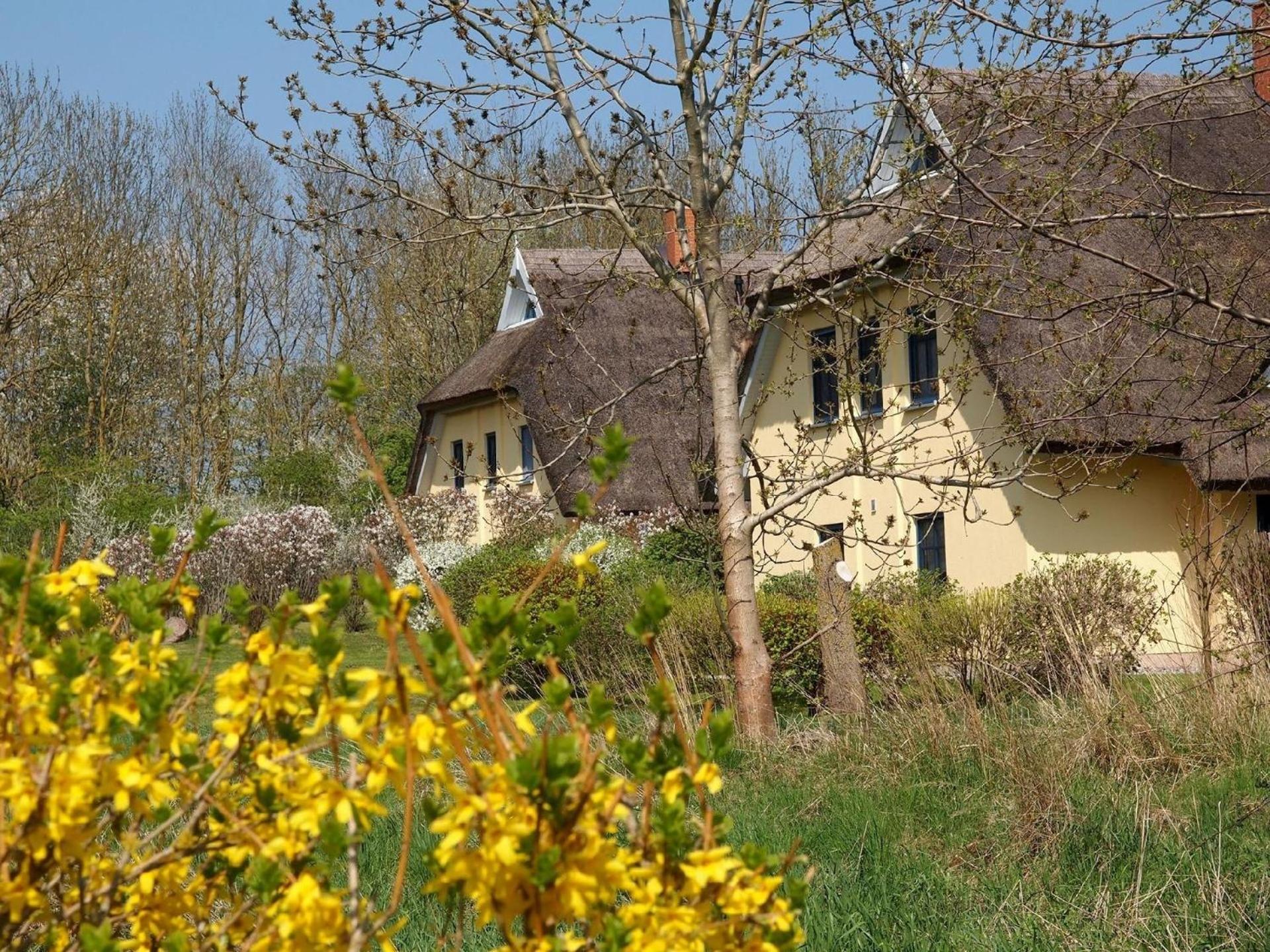 Tolles Ferienhaus in Poseritz mit Garten, Terrasse und Grill