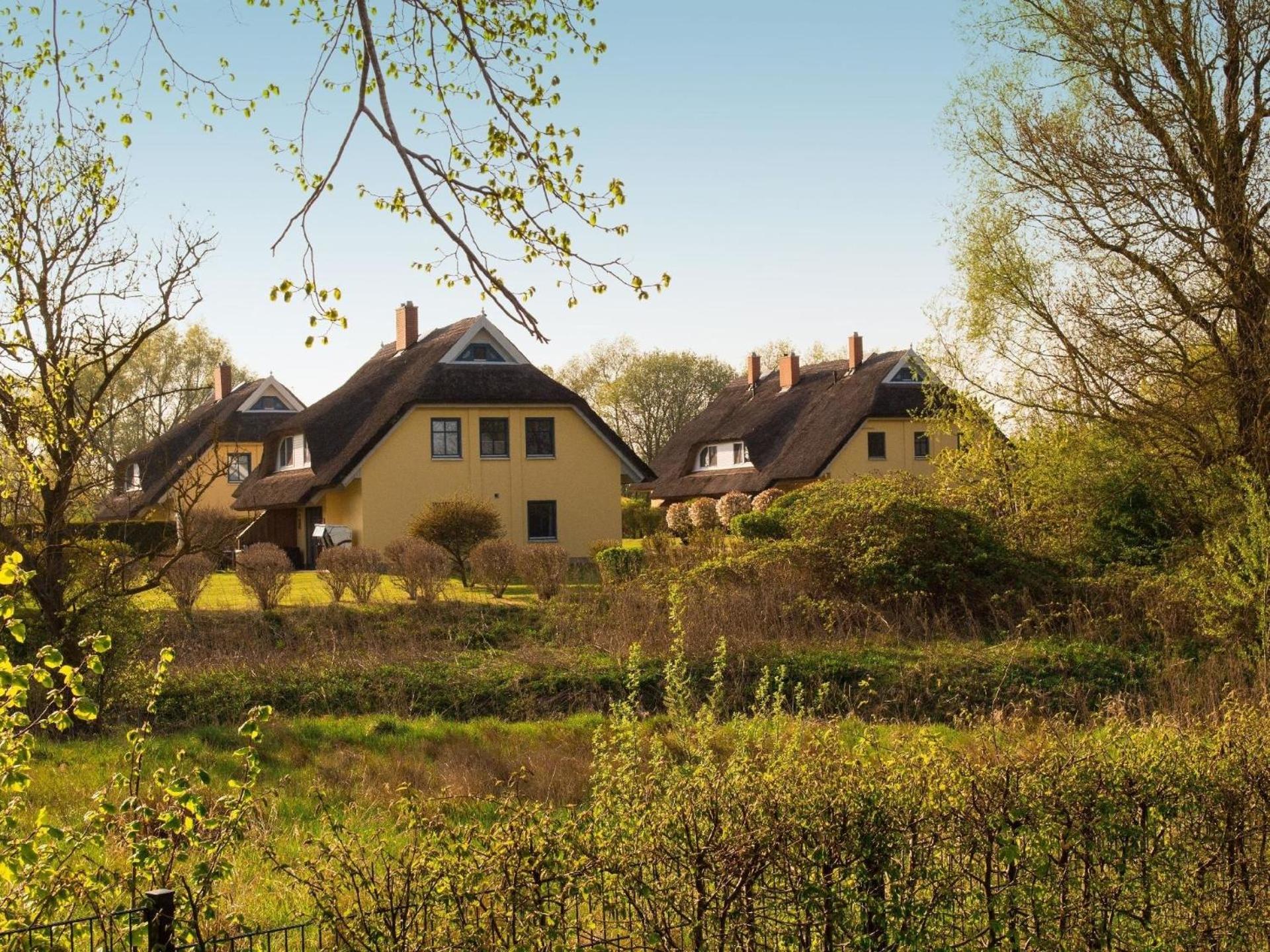 Tolles Ferienhaus in Poseritz mit Garten, Terrasse und Grill