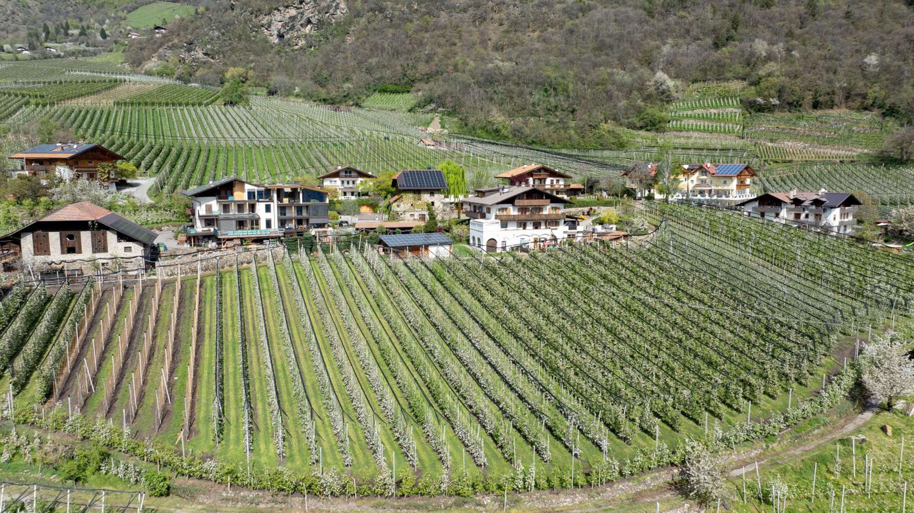 Rasnerhof Ferienwohnung Talblick