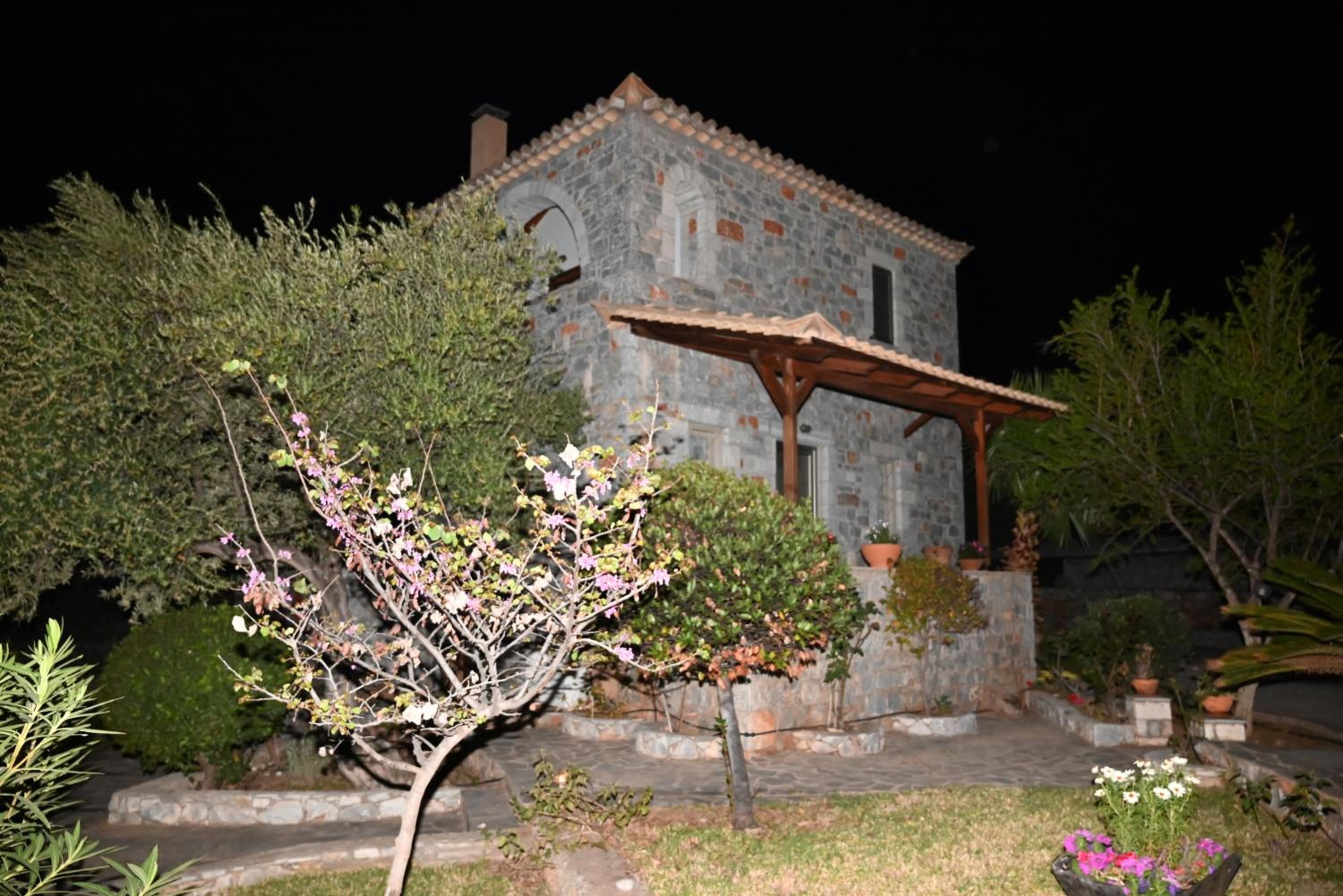 Photo 8