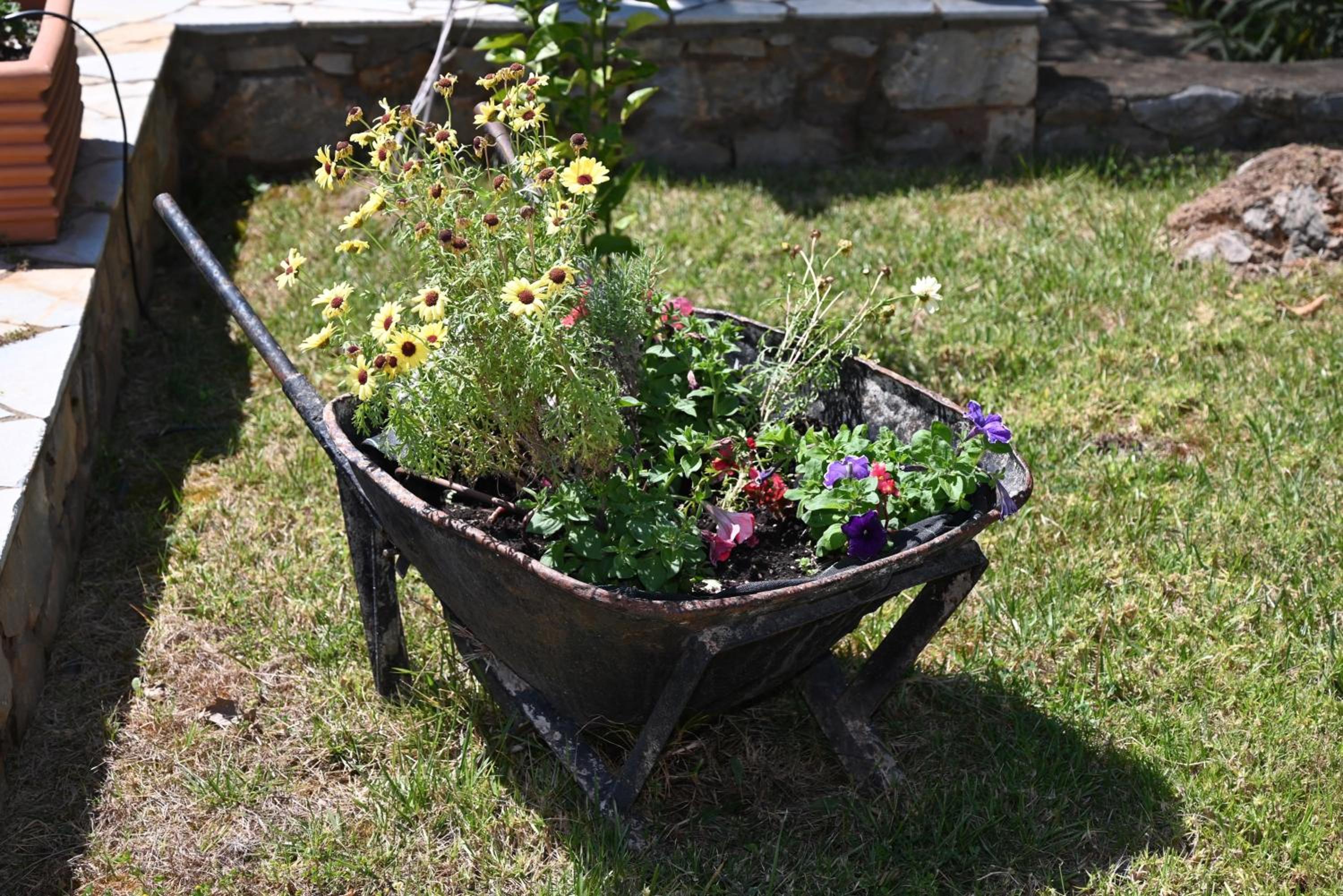 Photo 14