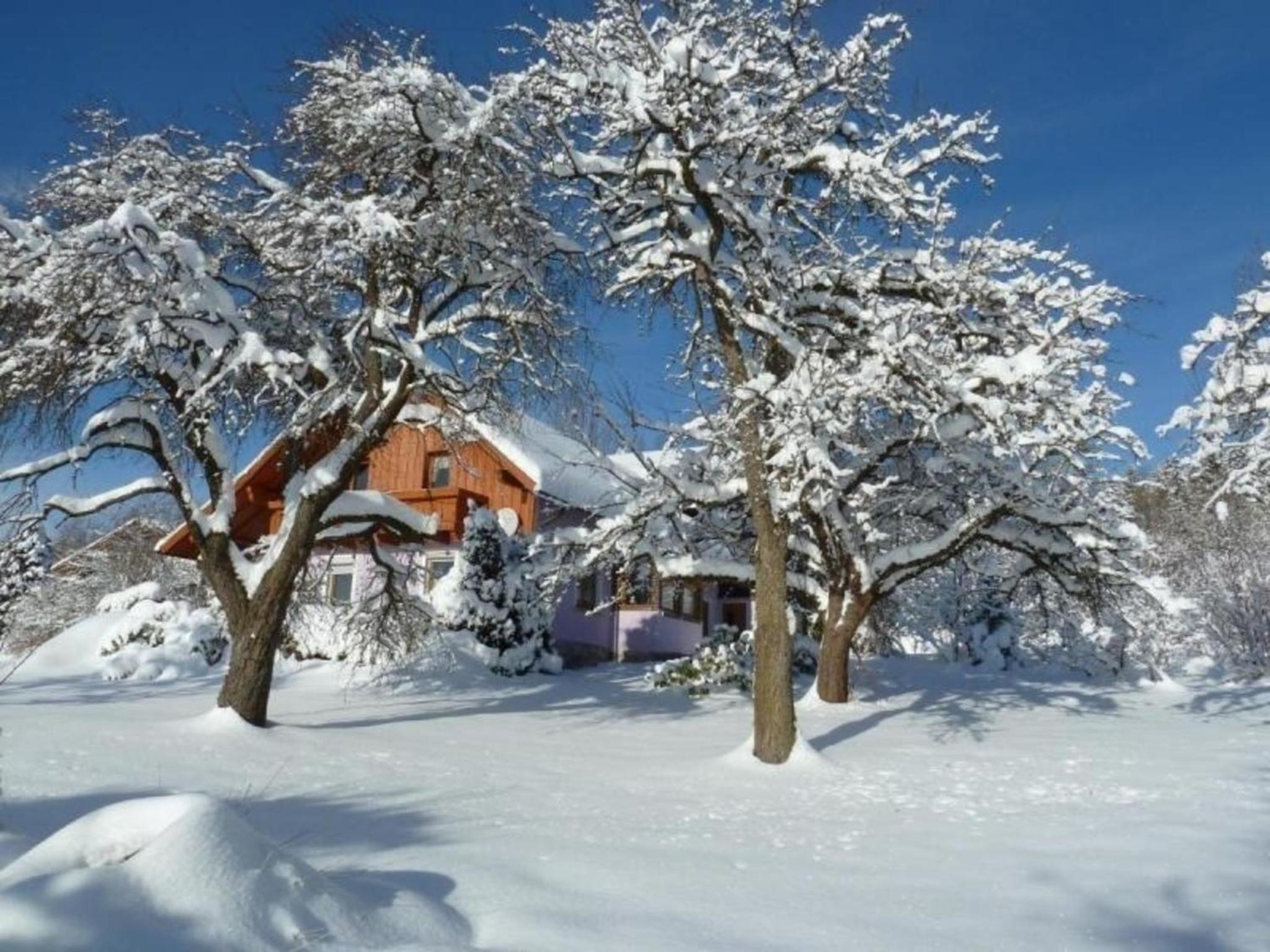 Ferienhaus Wildfeuer