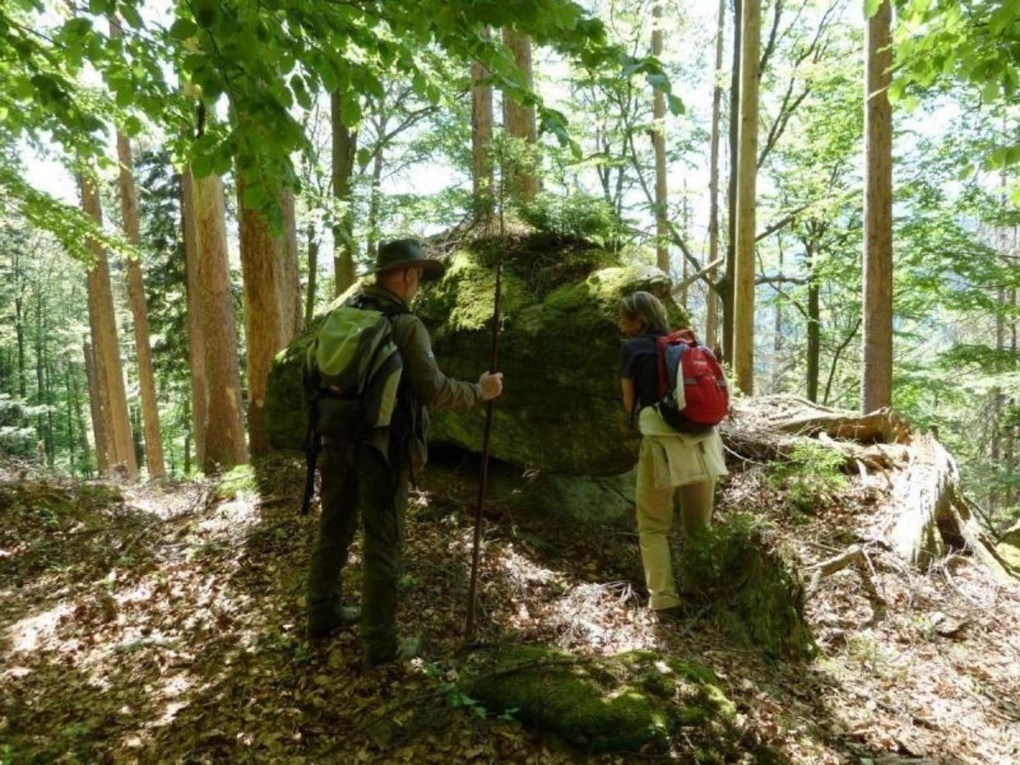 Ferienhaus Wildfeuer