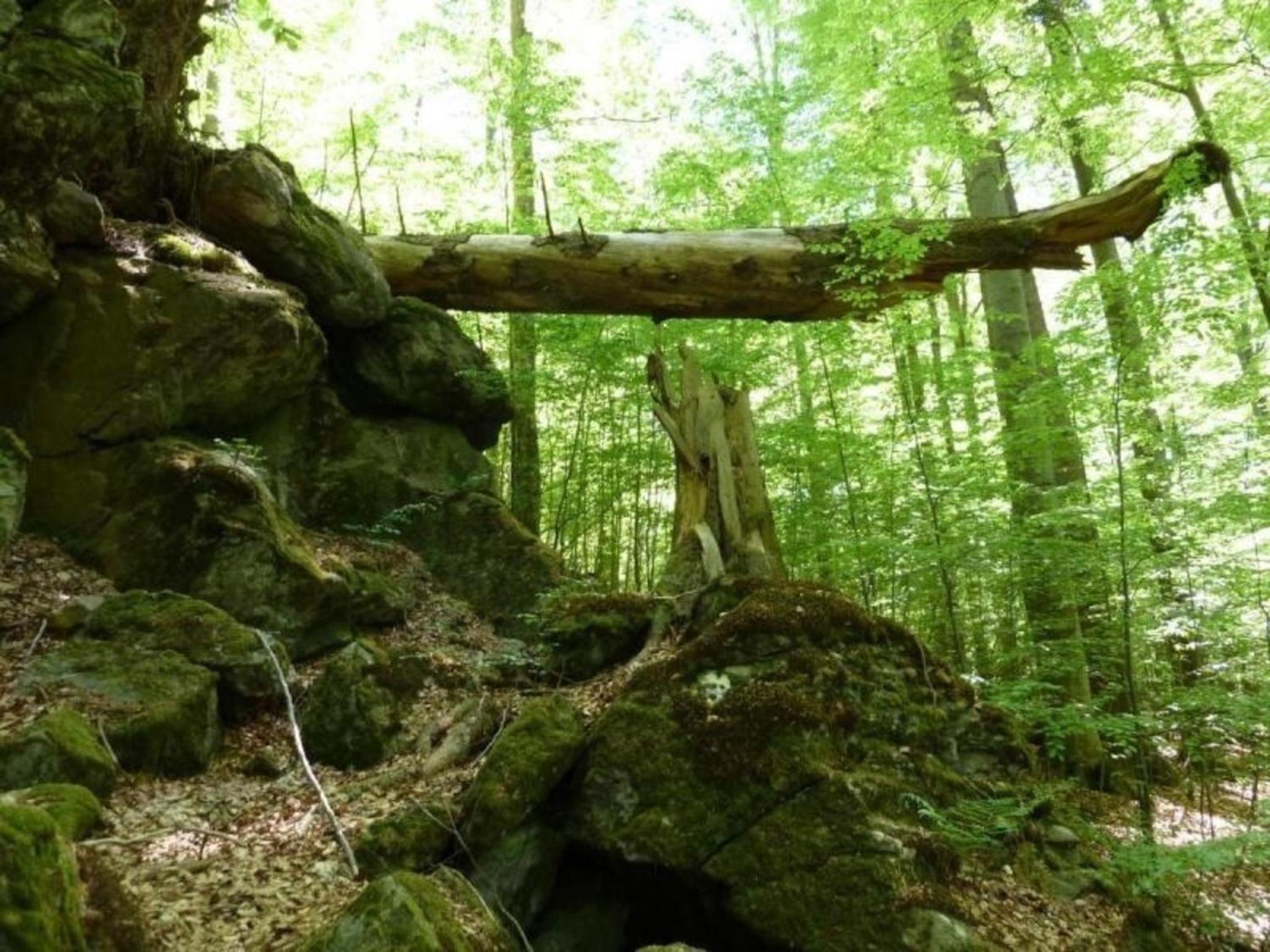 Ferienhaus Wildfeuer