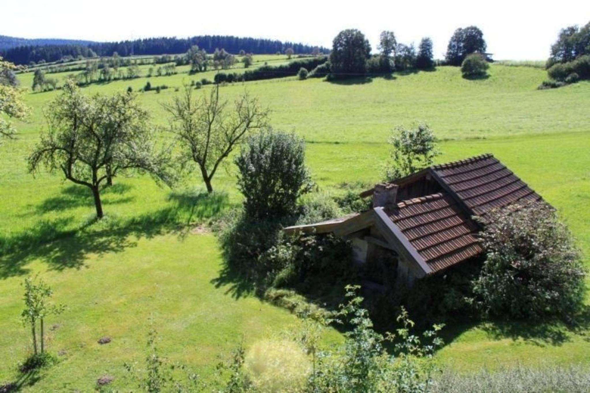 Ferienhaus Wildfeuer