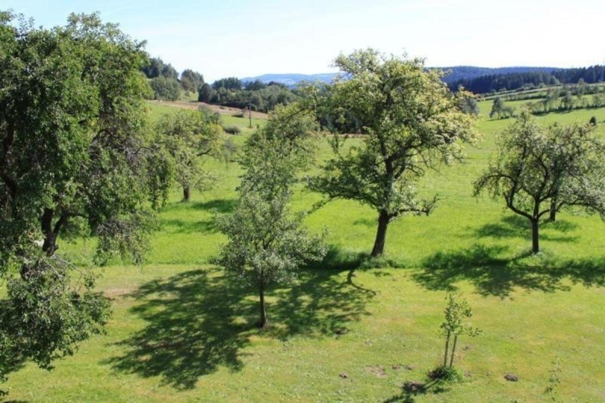 Ferienhaus Wildfeuer