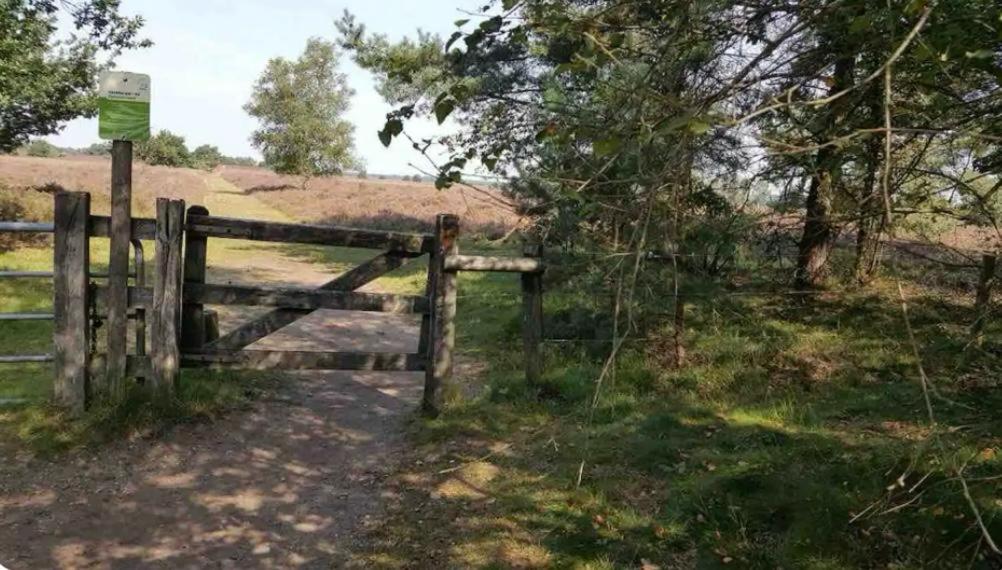 Heerlijk chalet midden in de natuur view 3