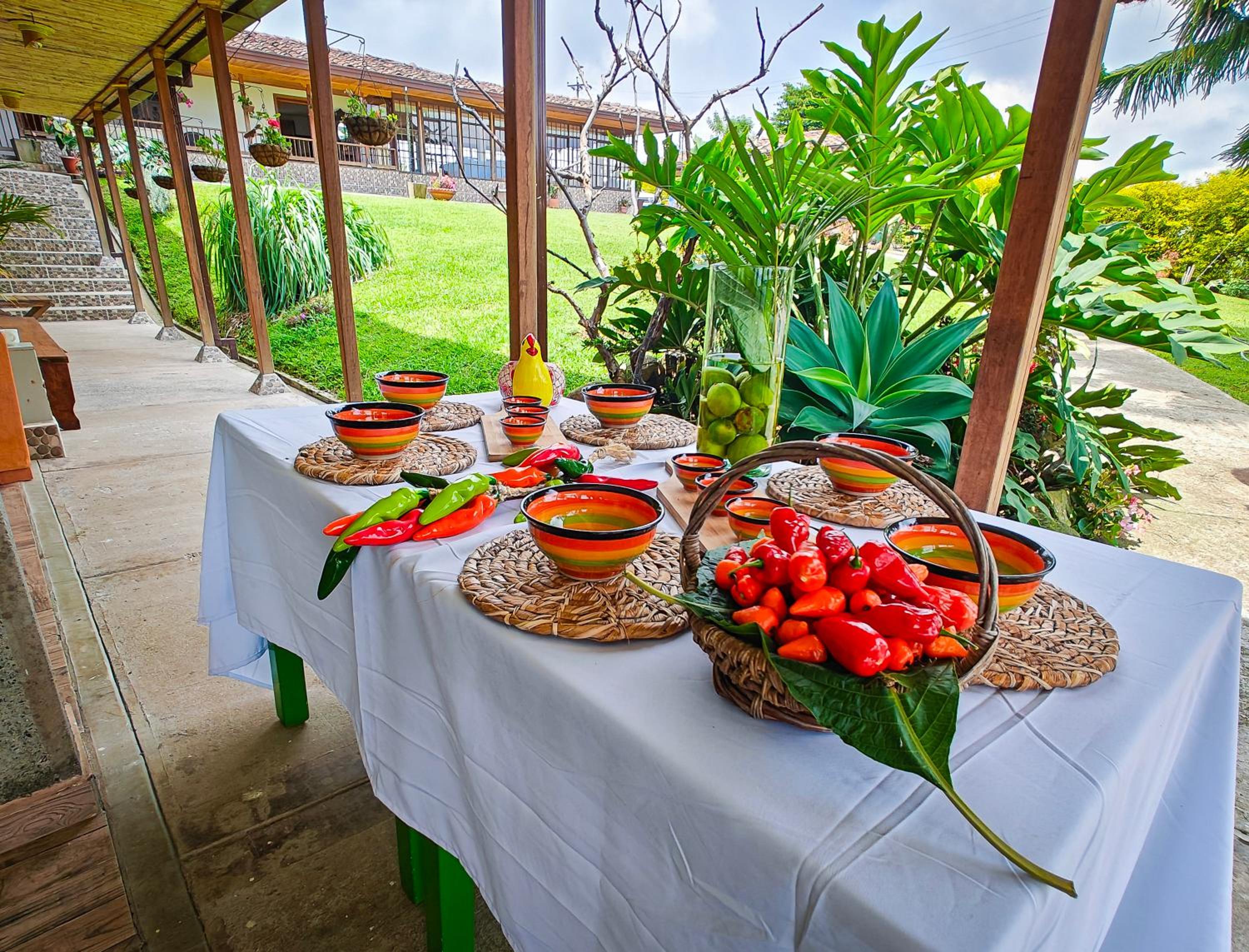 Zenith Bed & Breakfast