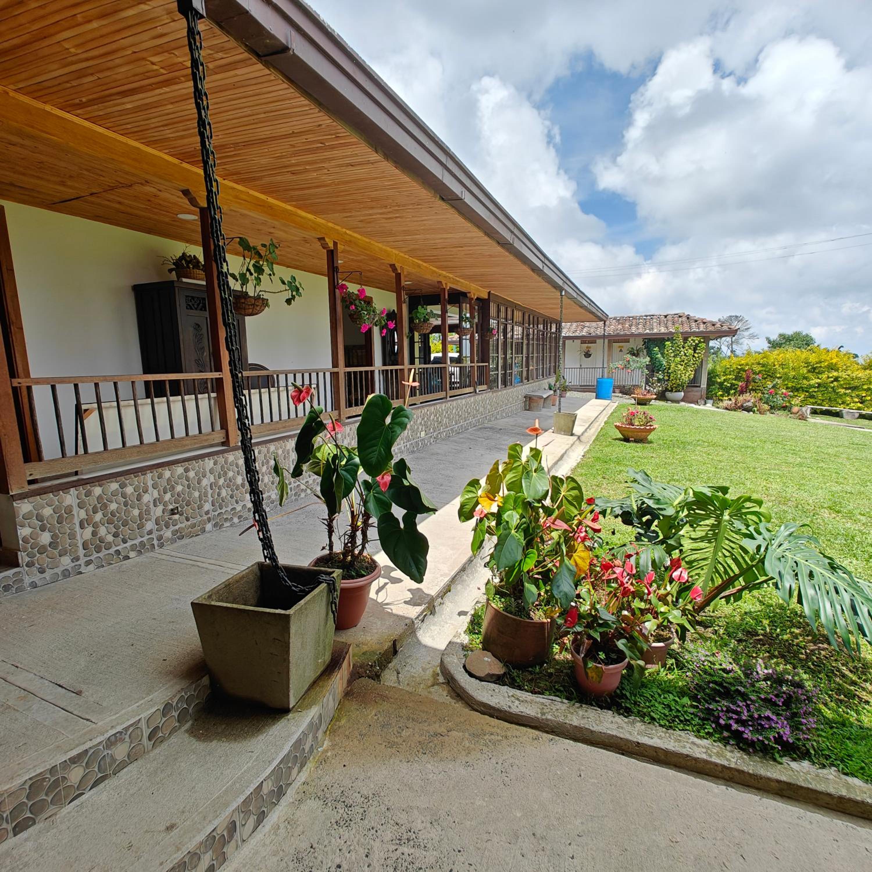 Zenith Bed & Breakfast