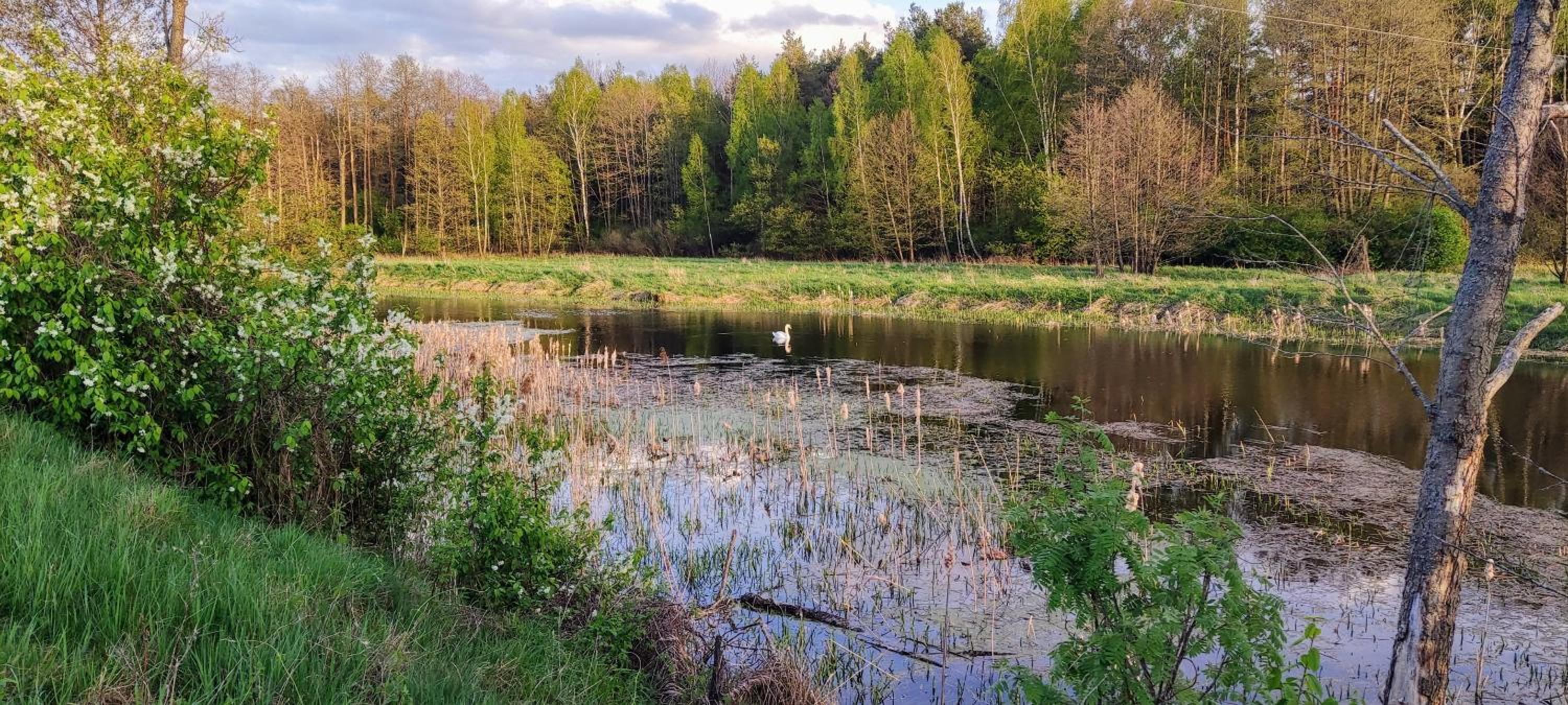 Panorama Podlasie Home&SPA