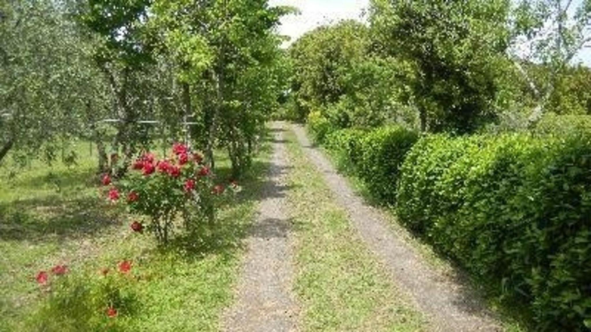 Photo 13