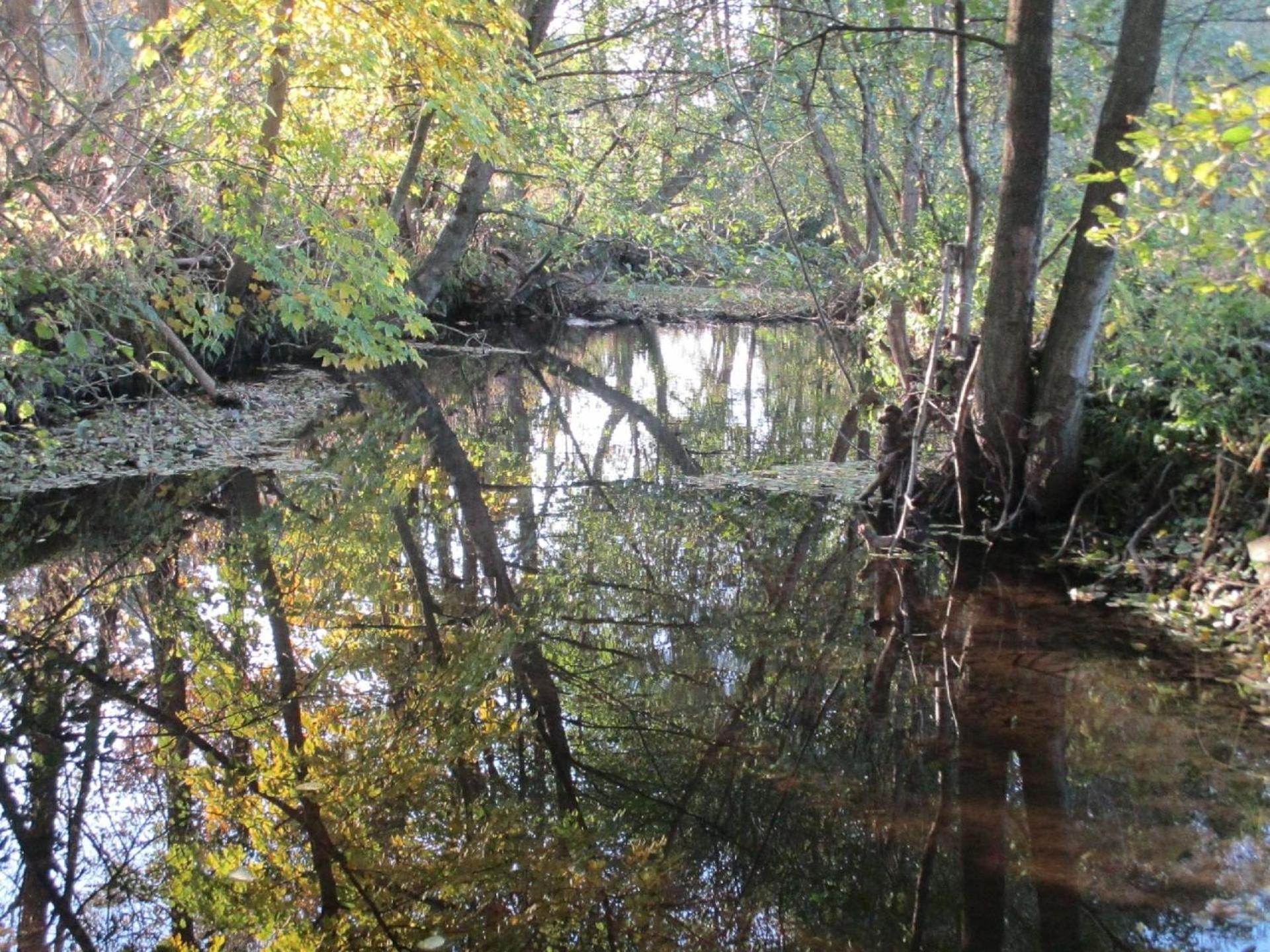grosse, hundfreundliche Ferienwohnung in der Nähe des Flusses