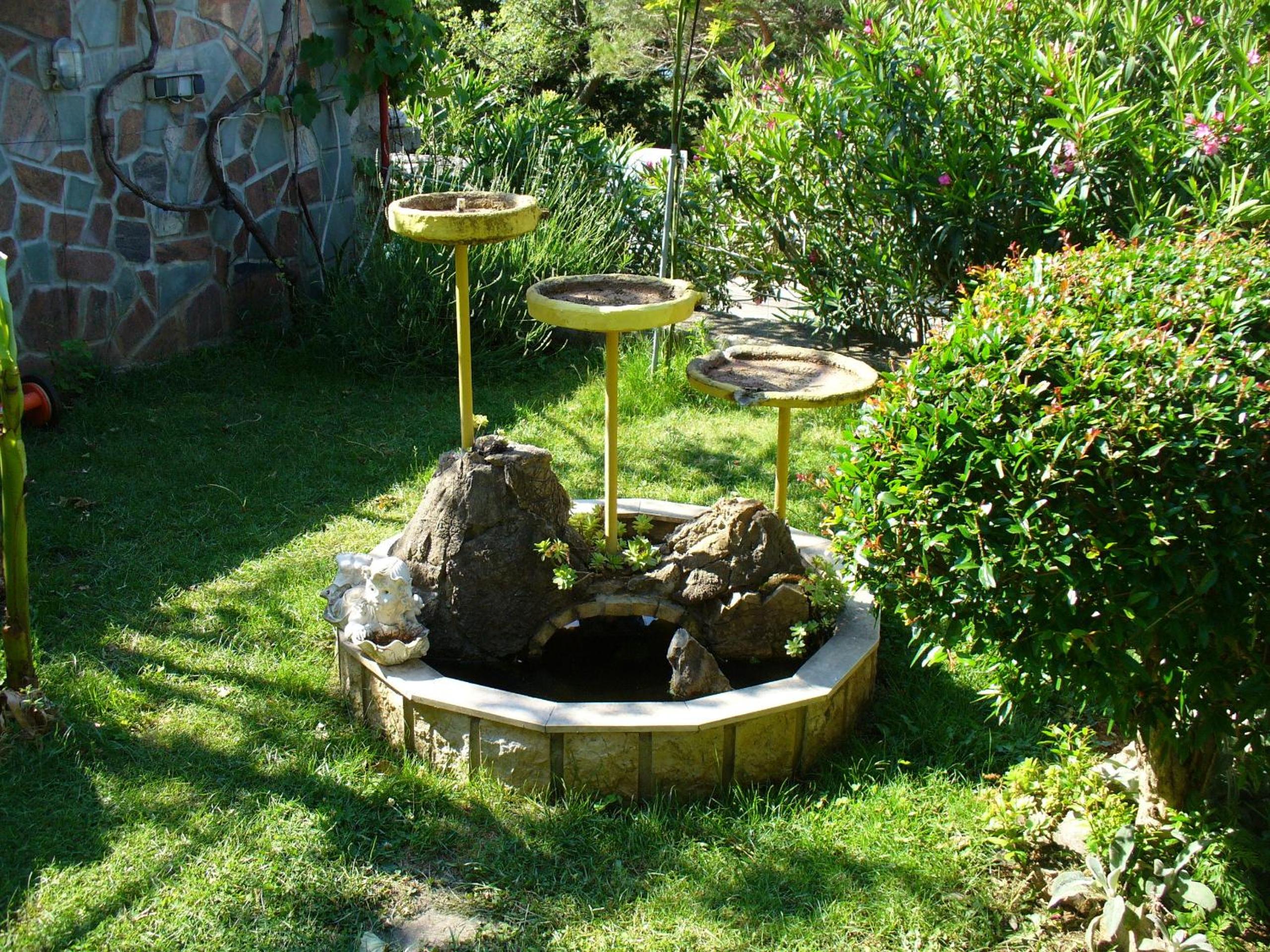 Photo 23