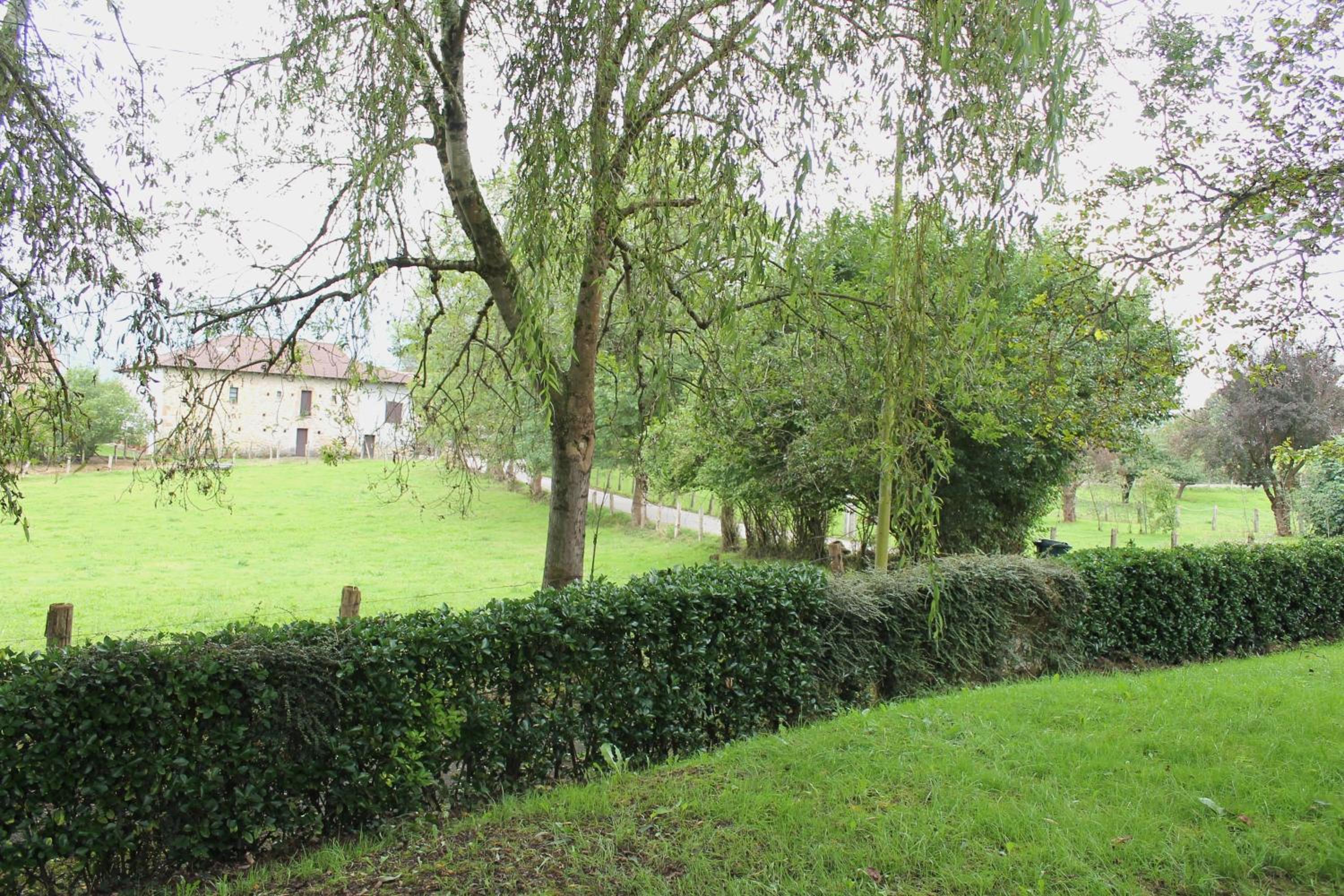 Photo 25